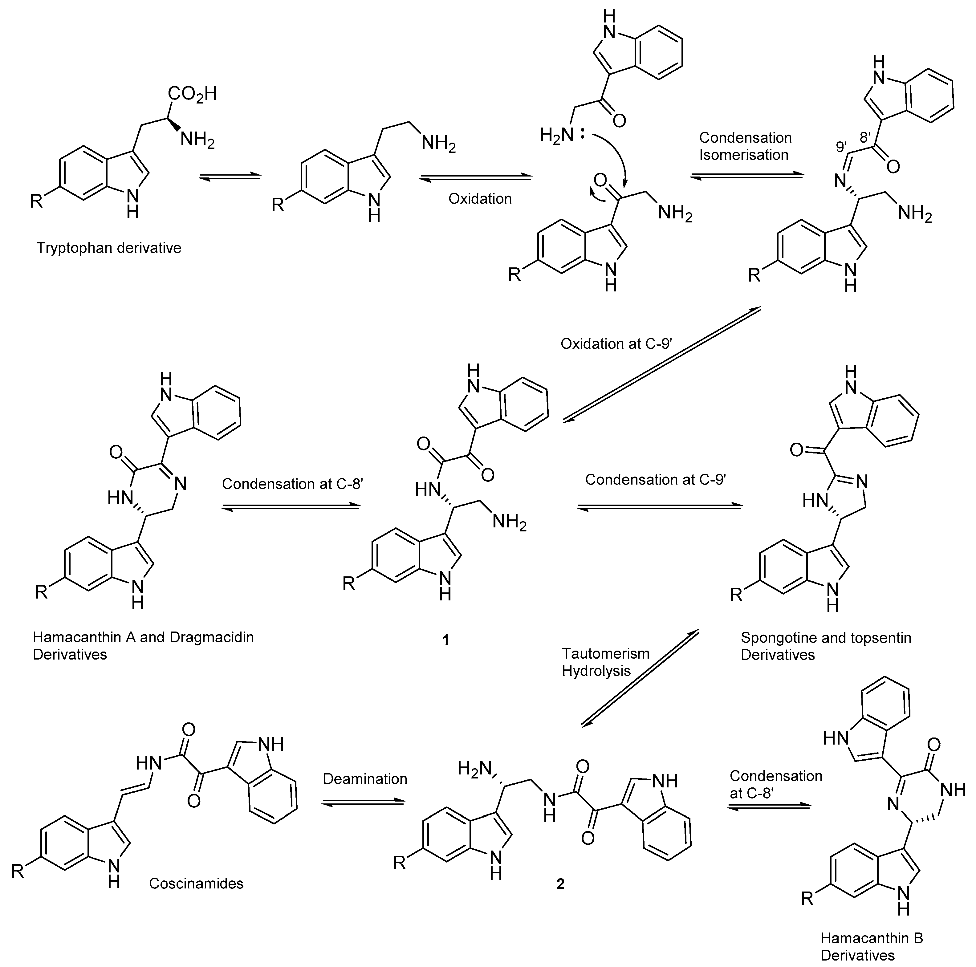Molecules 24 03890 sch001