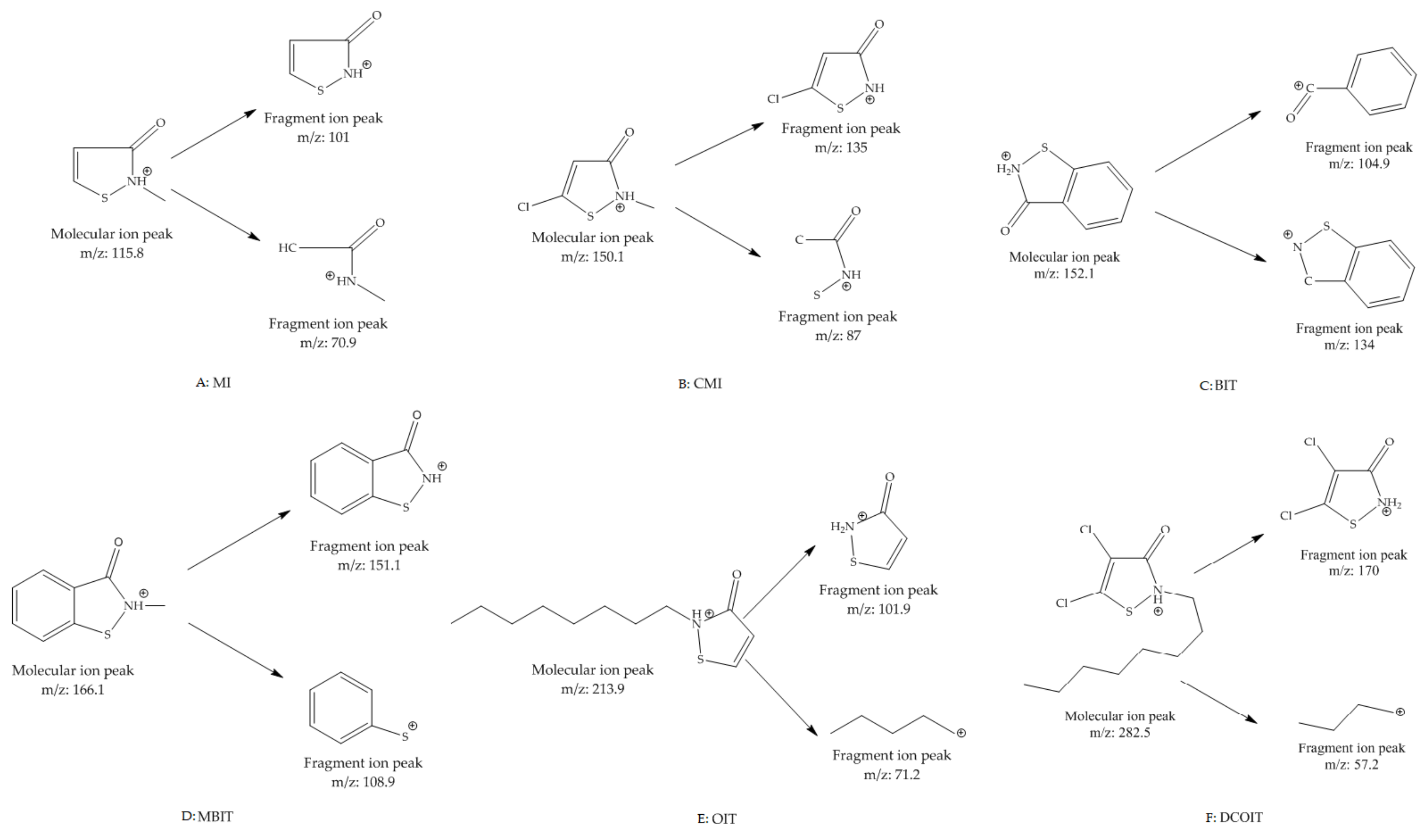 Molecules 24 03894 g005