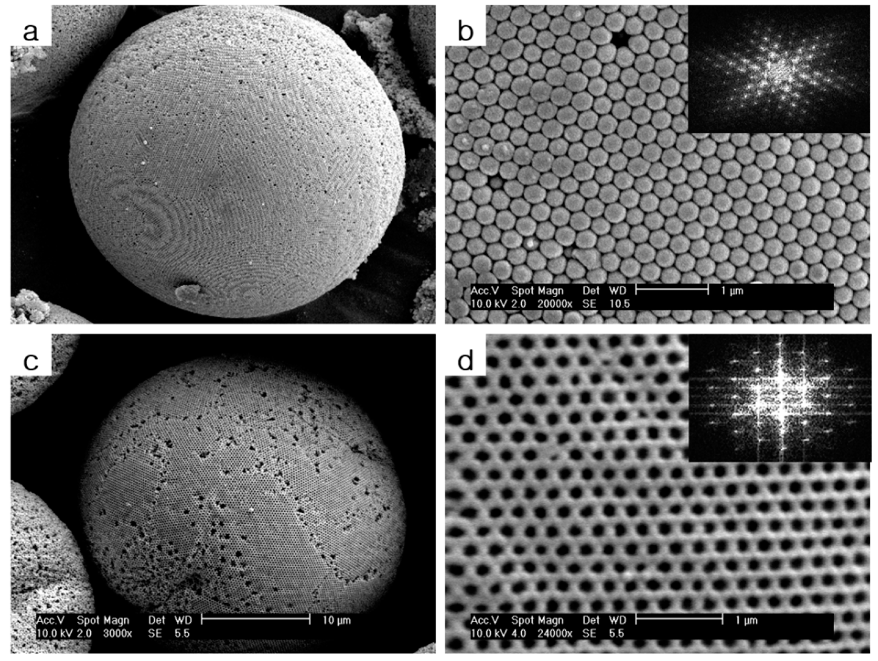 Molecules 24 03905 g003 Molecules 24 03905 g003