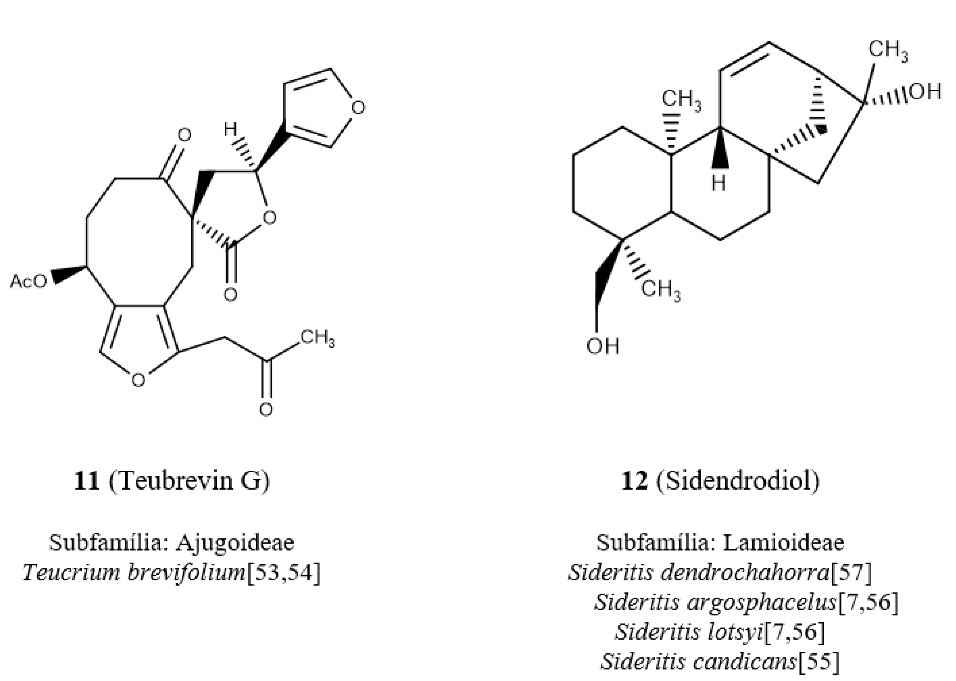 Molecules 24 03908 g005b