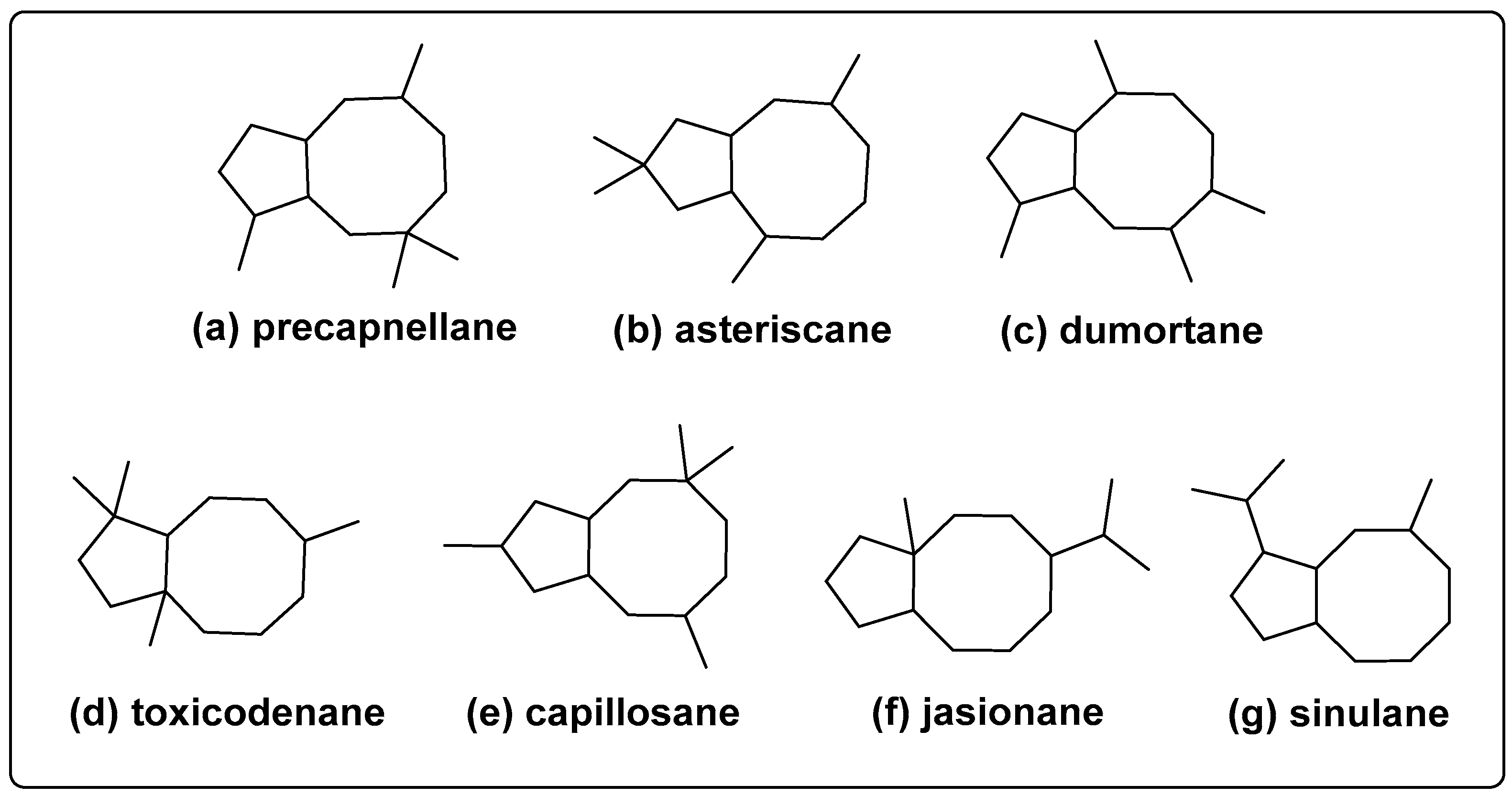 Molecules 24 03912 g001