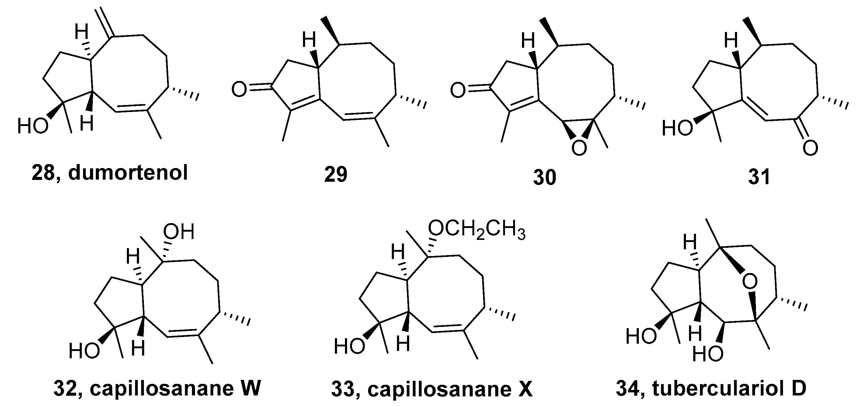 Molecules 24 03912 g004