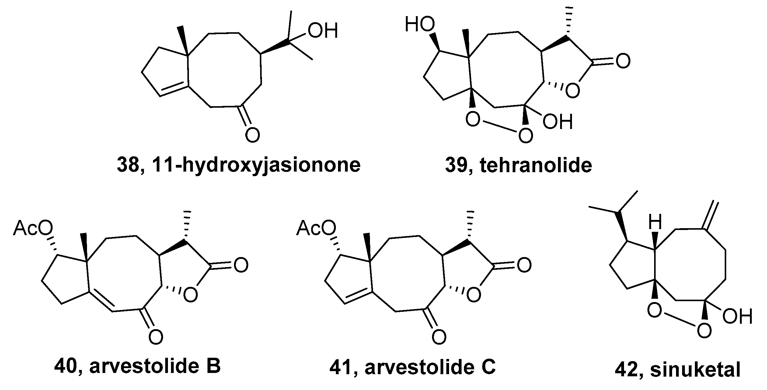 Molecules 24 03912 g006