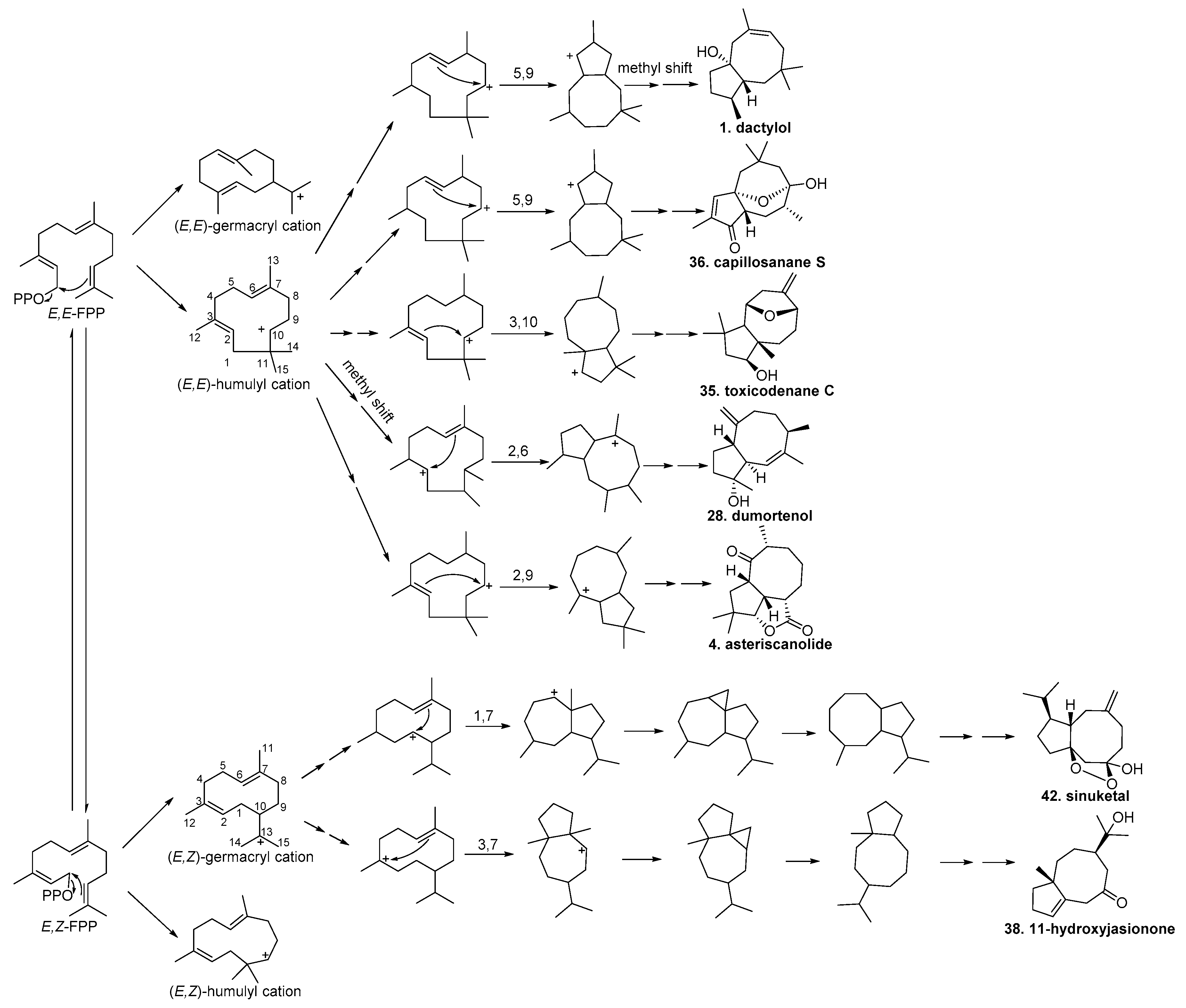 Molecules 24 03912 sch001