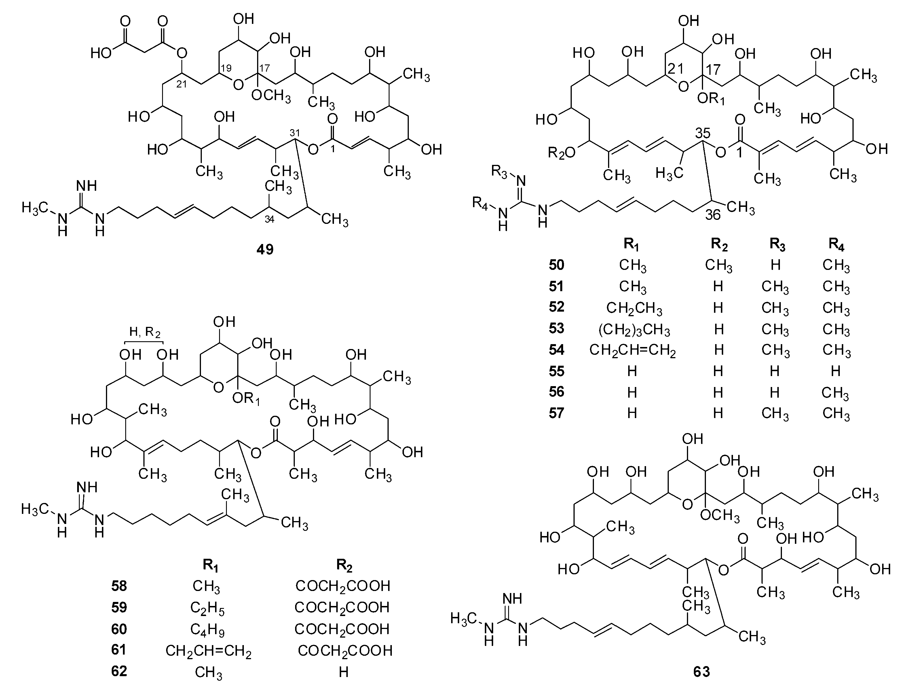 Molecules 24 03913 g005