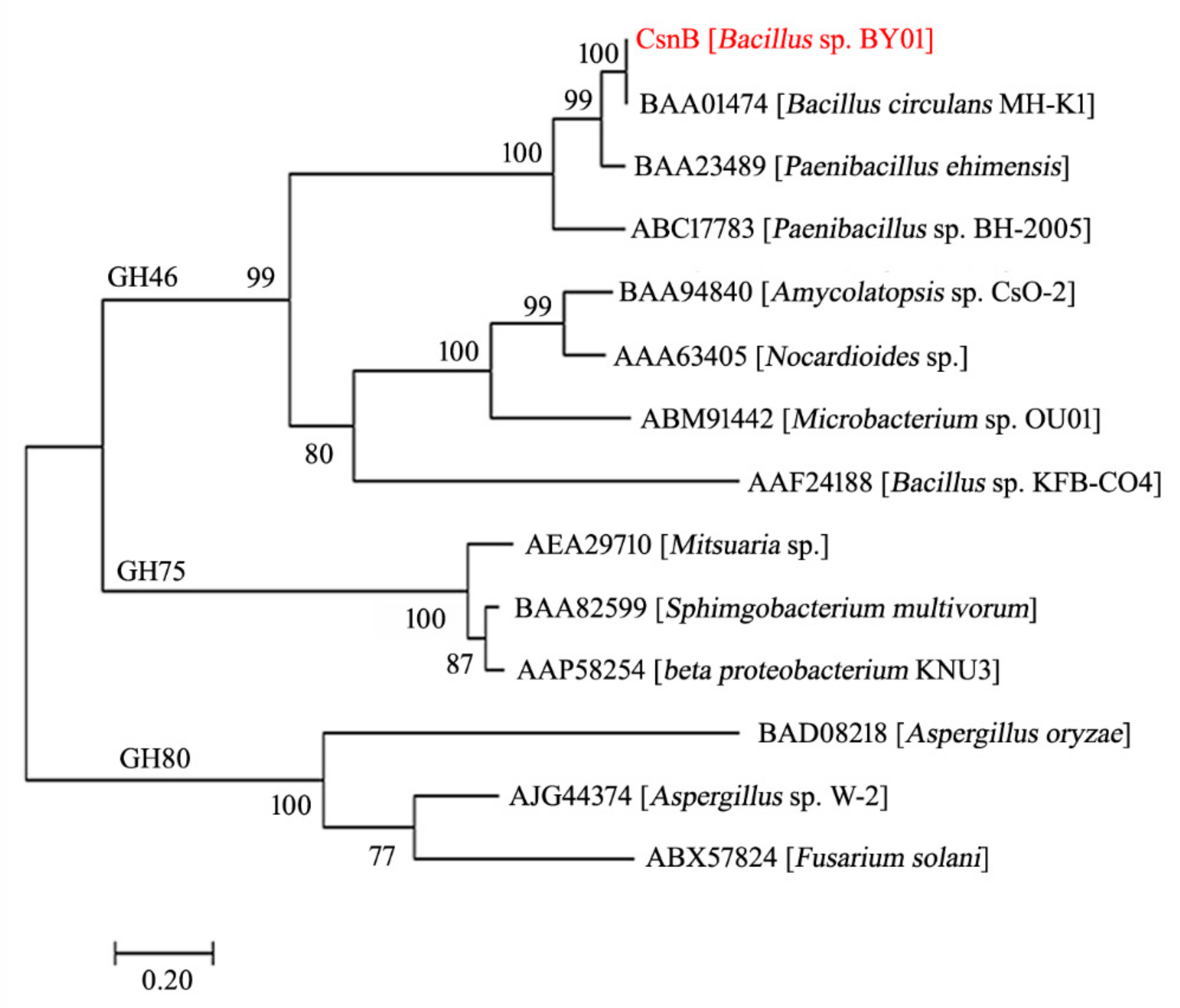 Molecules 24 03915 g001