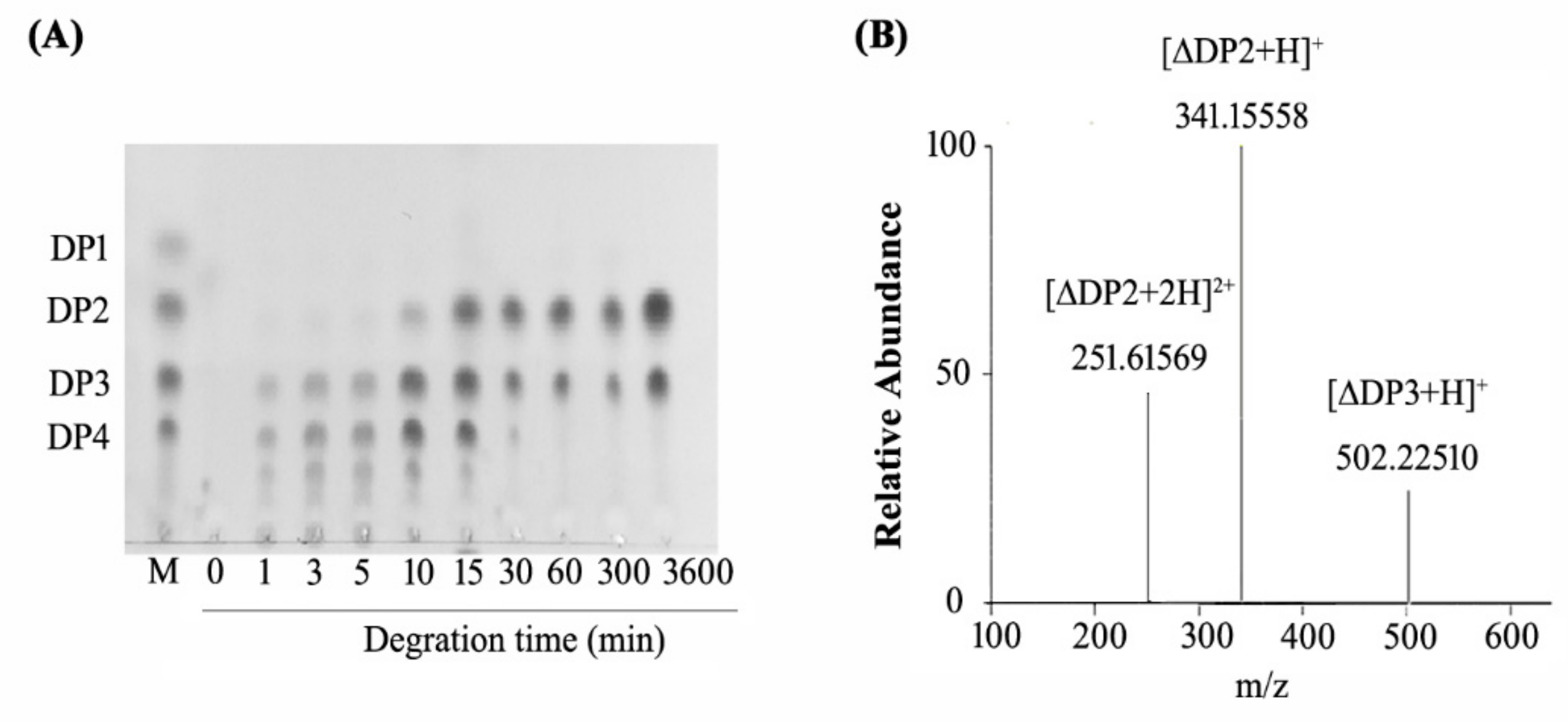 Molecules 24 03915 g006