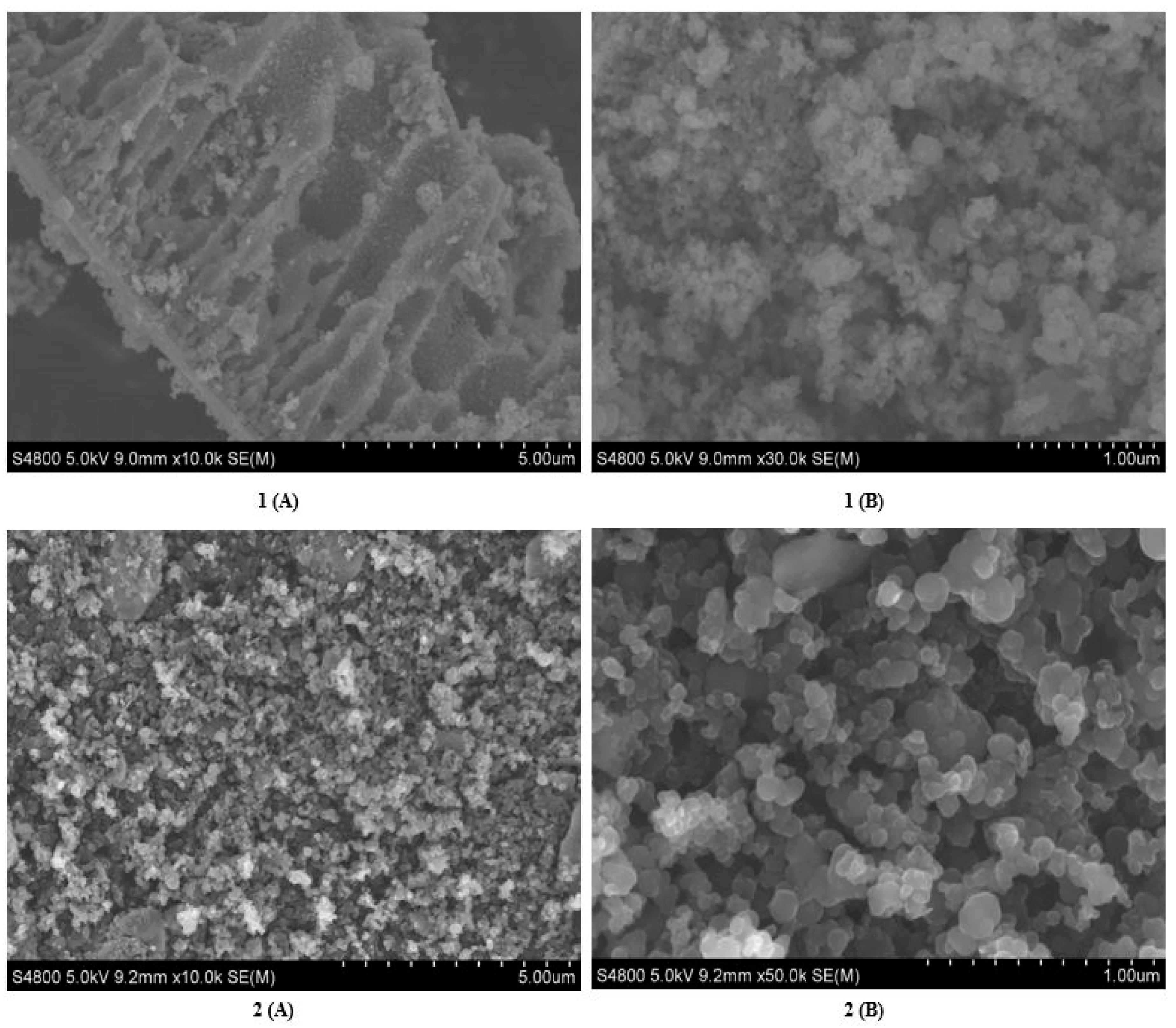 Molecules 24 03916 g002 Molecules 24 03916 g002