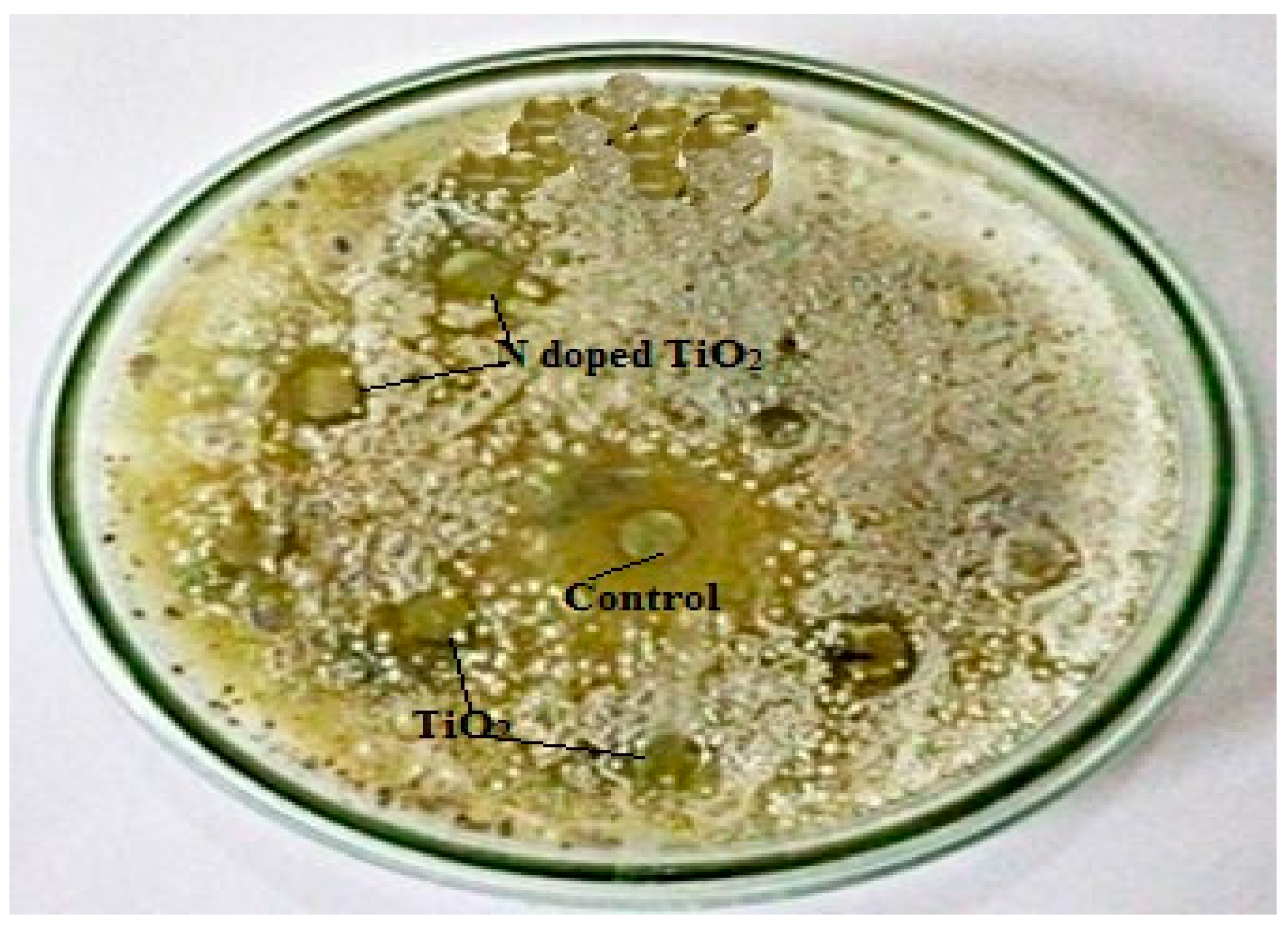 Molecules 24 03916 g013 Molecules 24 03916 g013