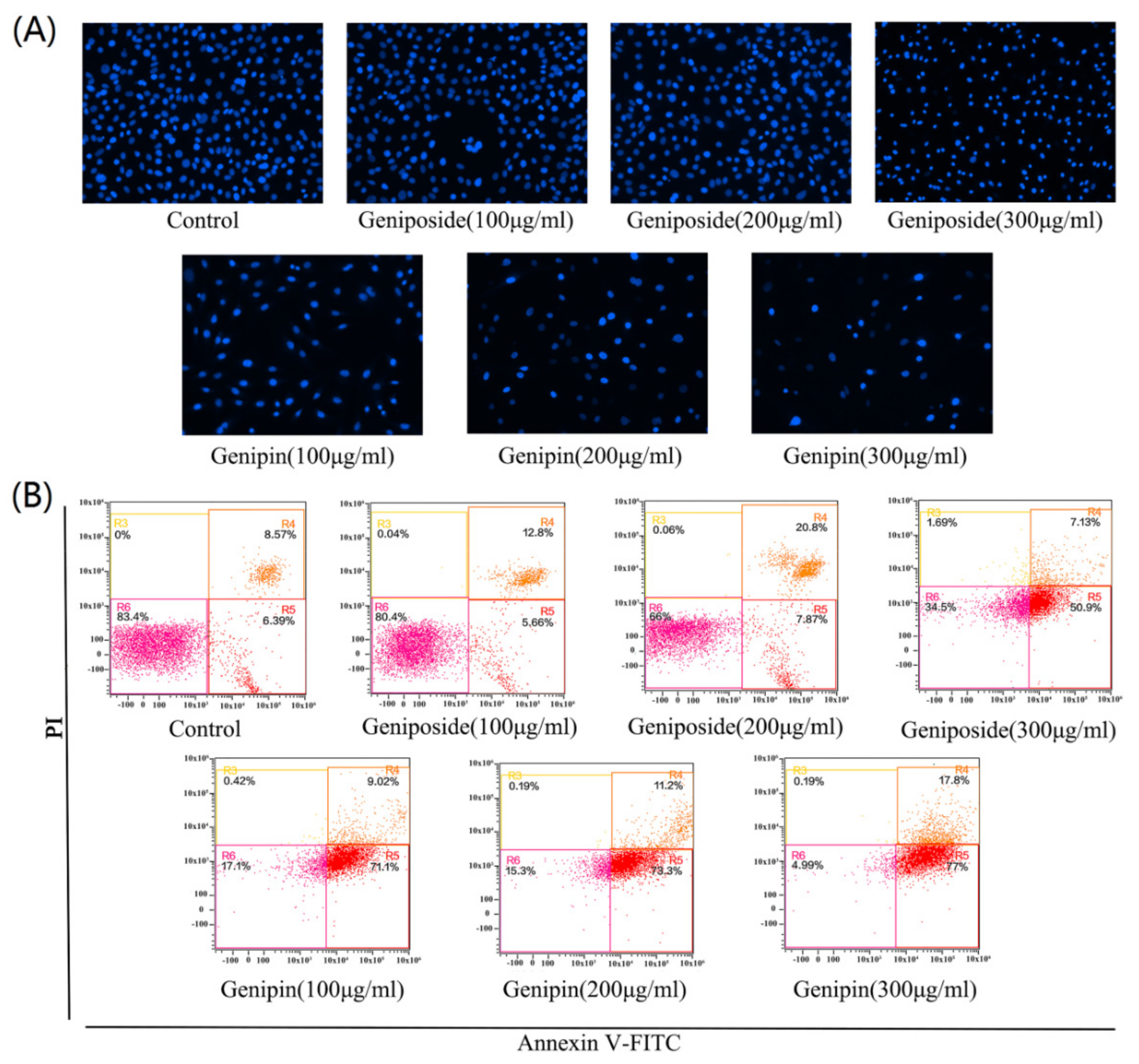 Molecules 24 03920 g004