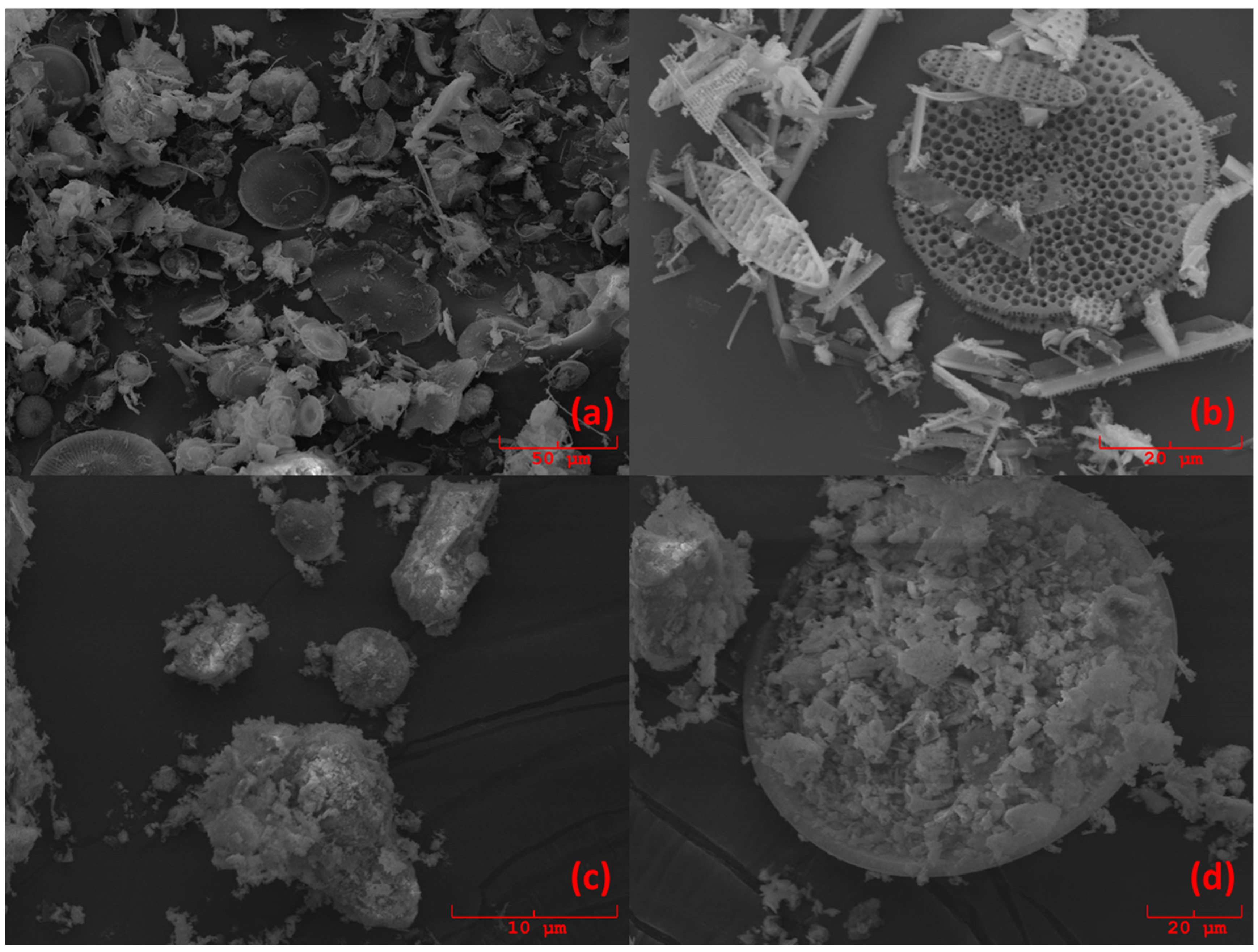 Molecules 24 03927 g005