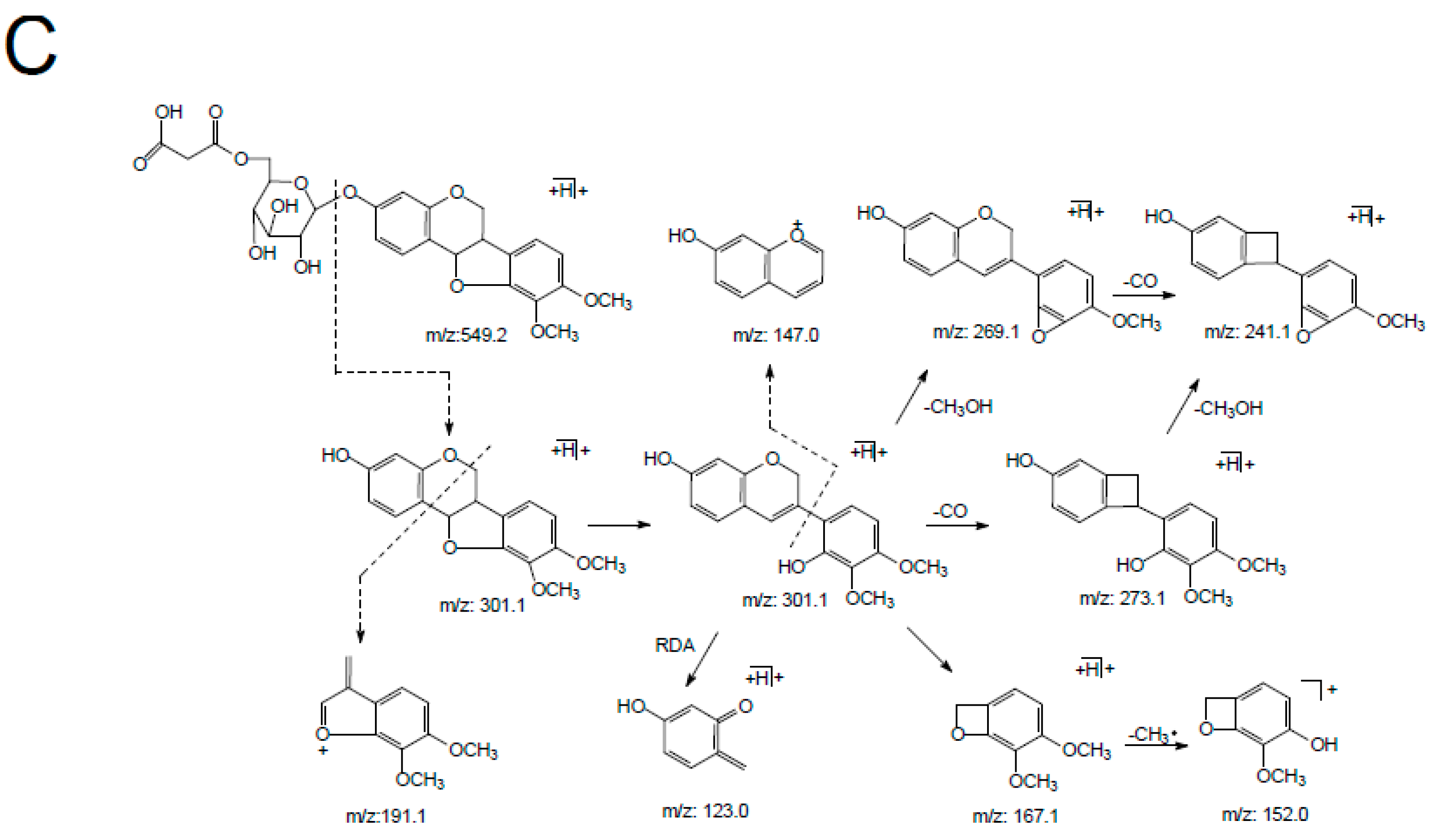 Molecules 24 03929 g004b Molecules 24 03929 g004b