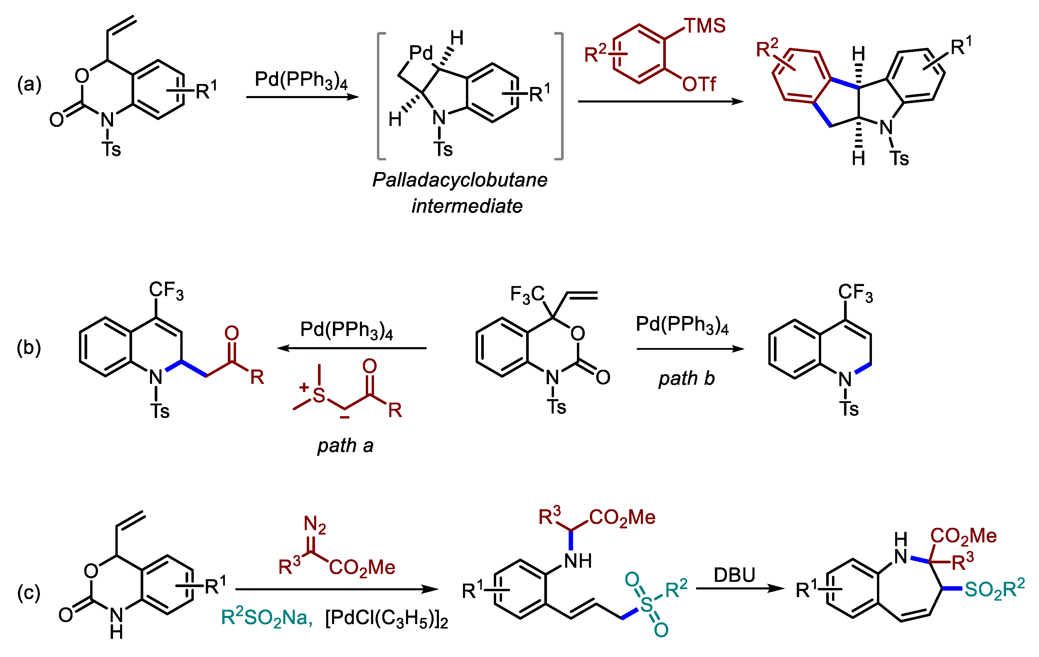 Molecules 24 03930 sch003