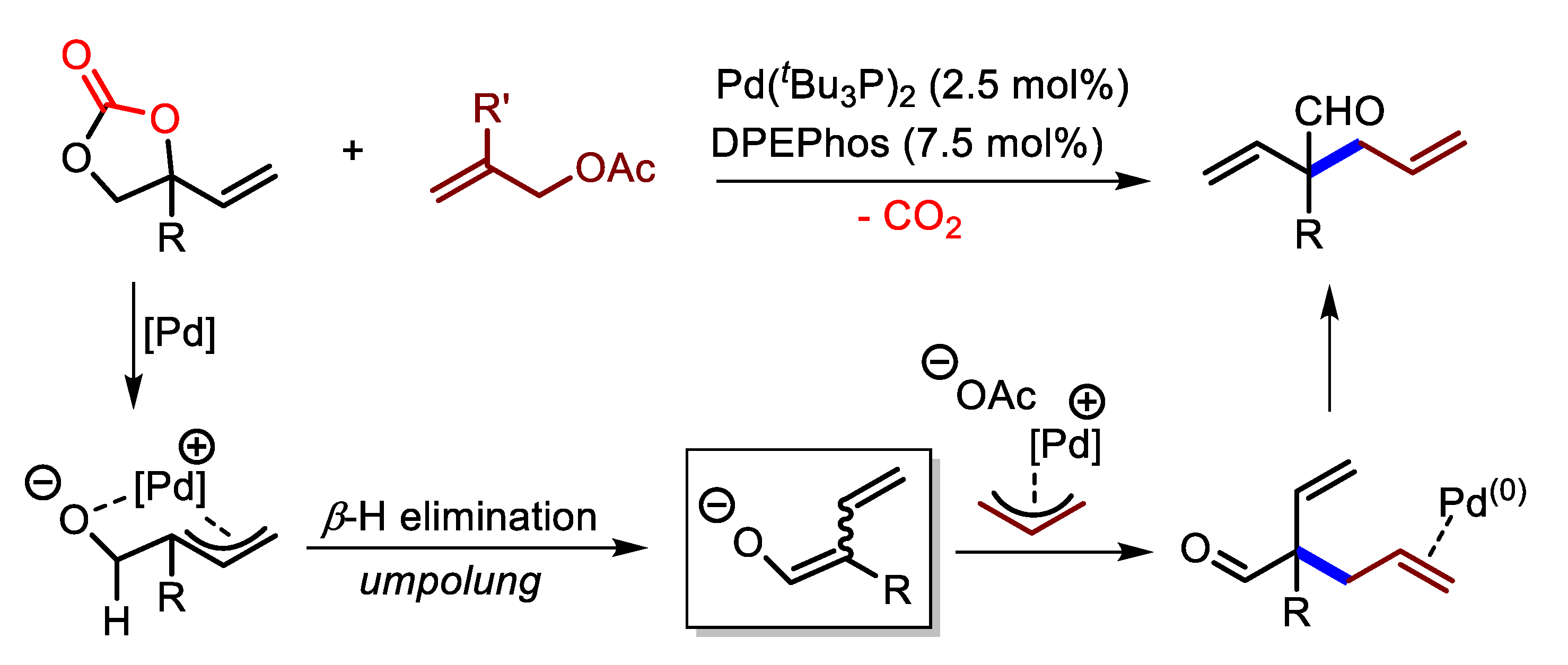 Molecules 24 03930 sch009