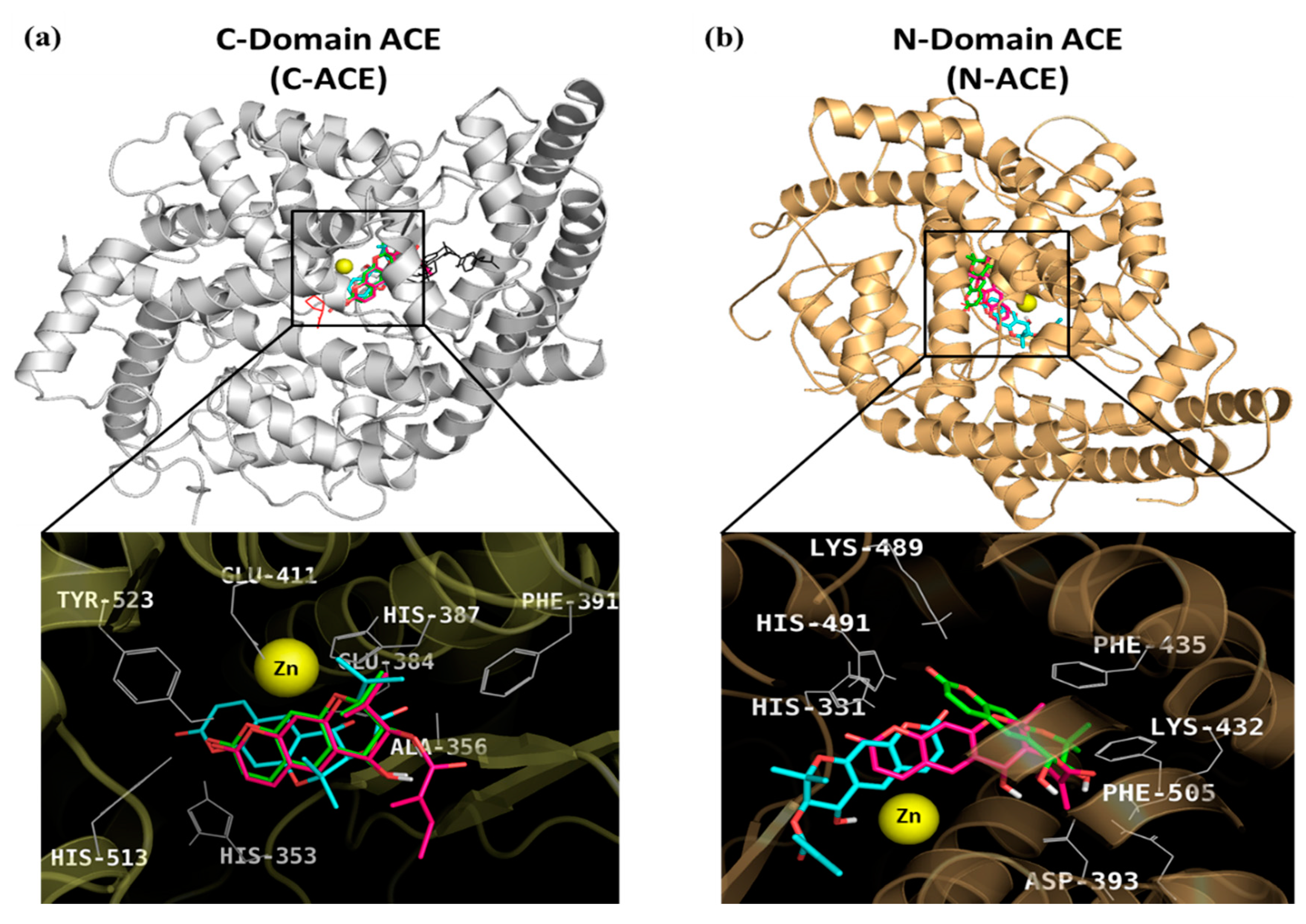 Molecules 24 03937 g003