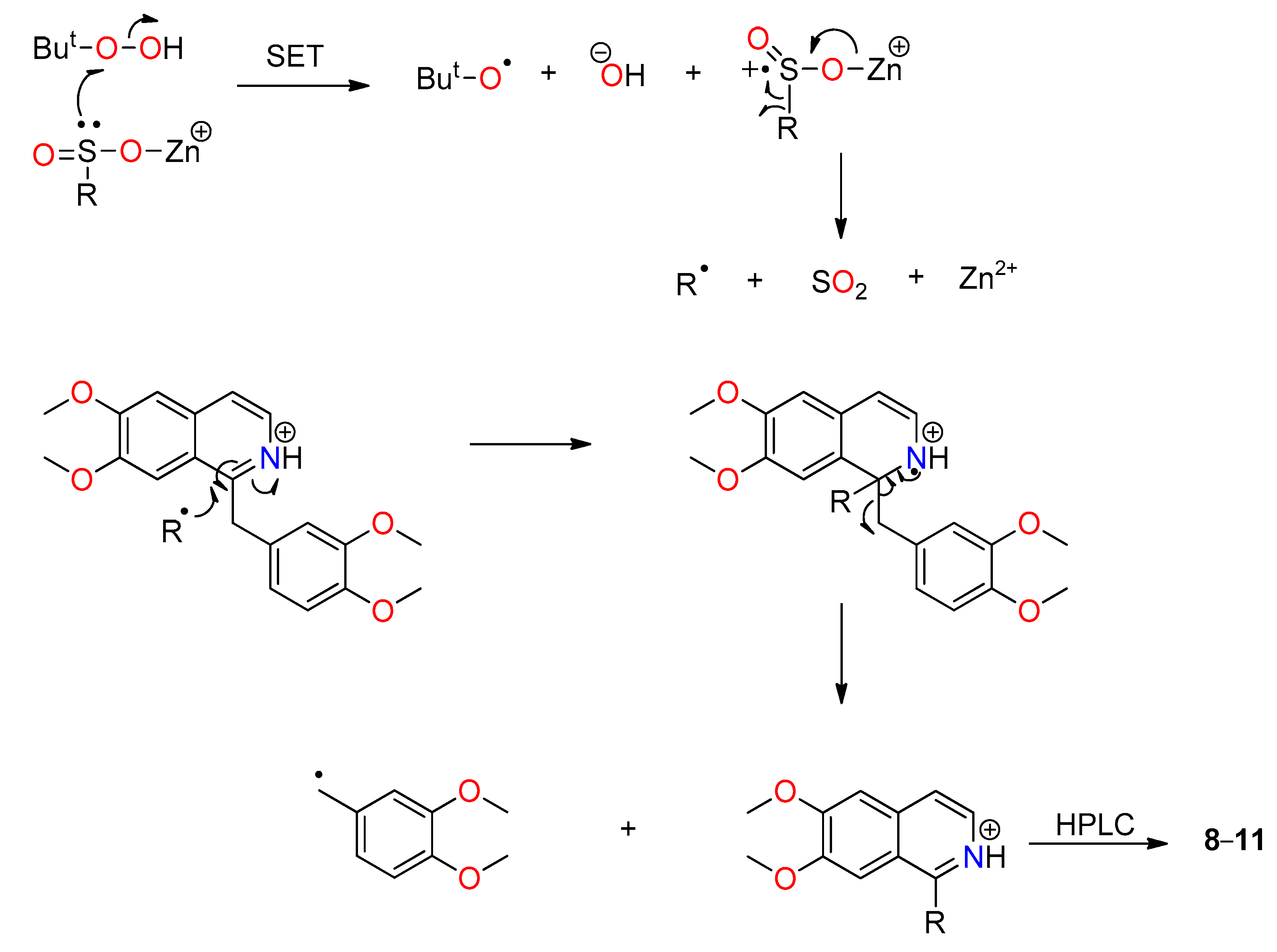 Molecules 24 03938 sch002
