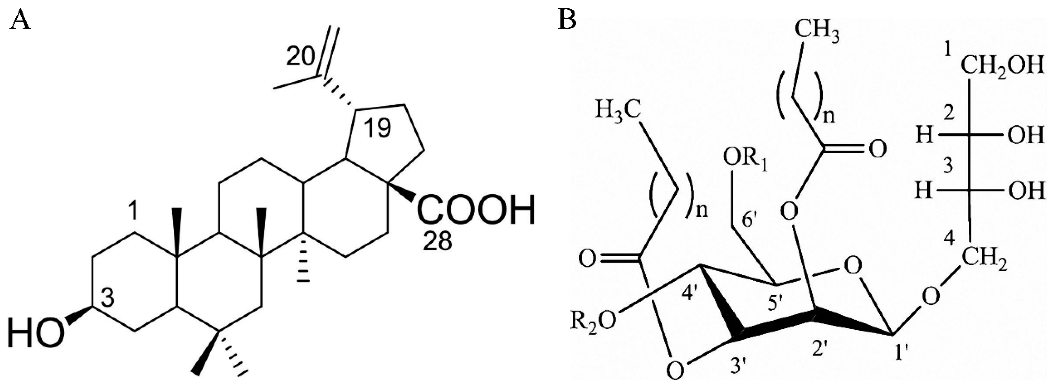 Molecules 24 03939 g001
