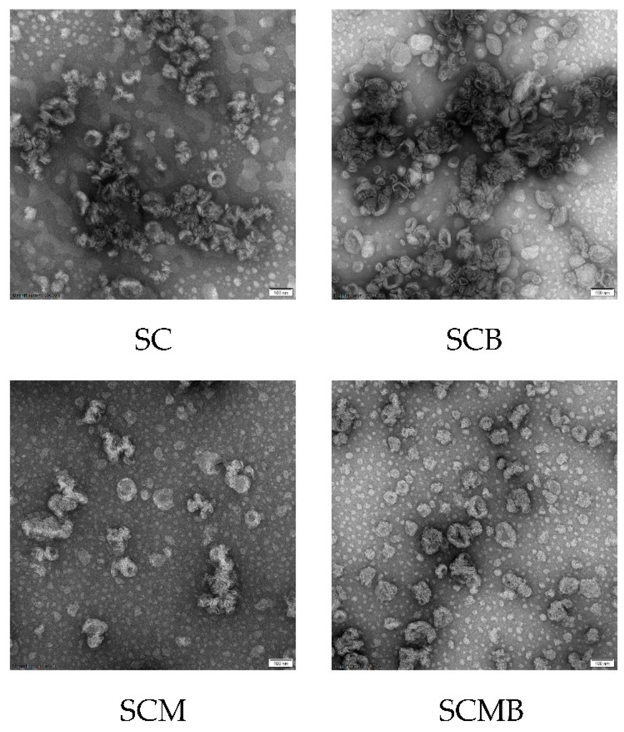 Molecules 24 03939 g005