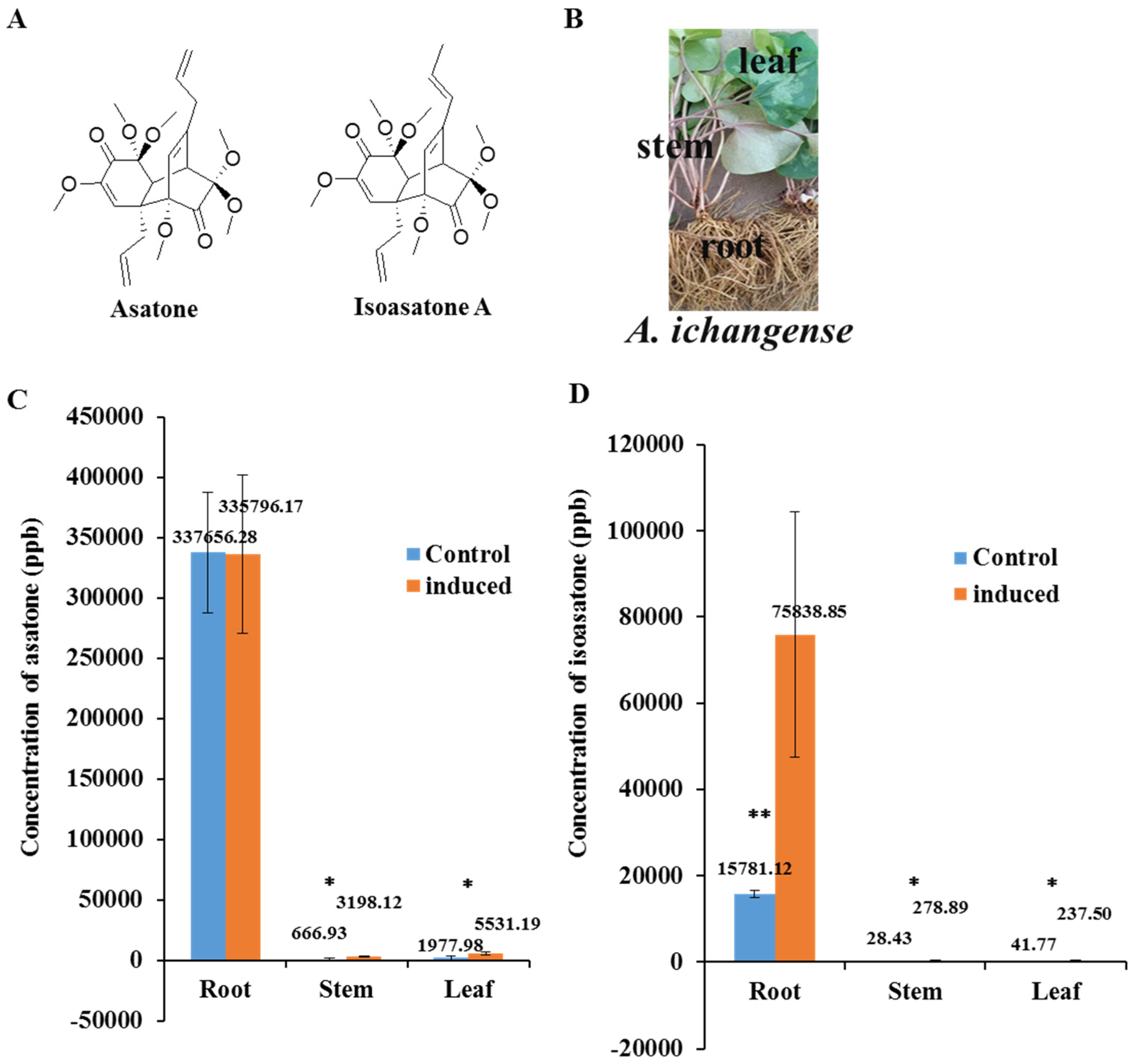 Molecules 24 03940 g001