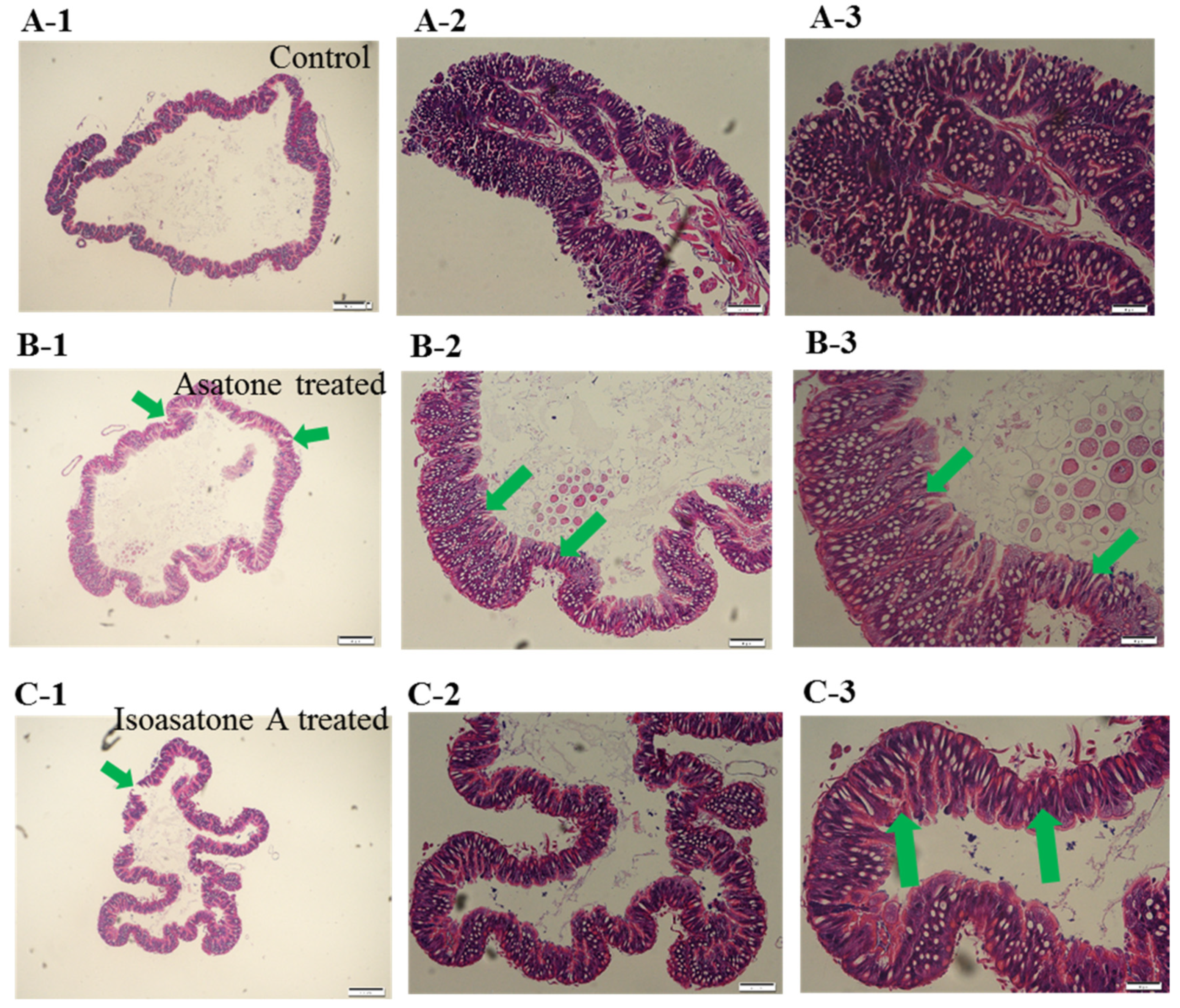 Molecules 24 03940 g003