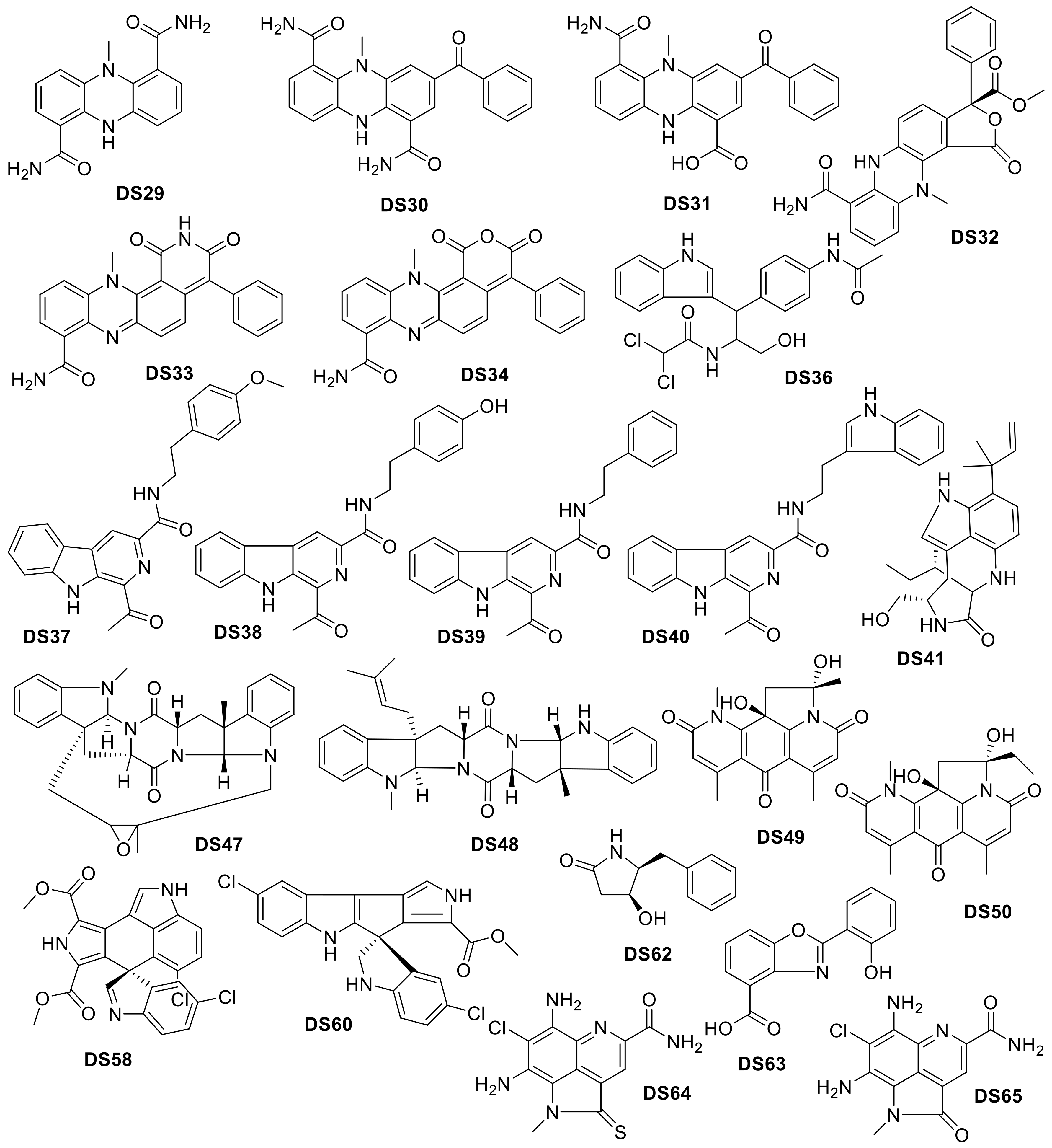 Molecules 24 03942 g022