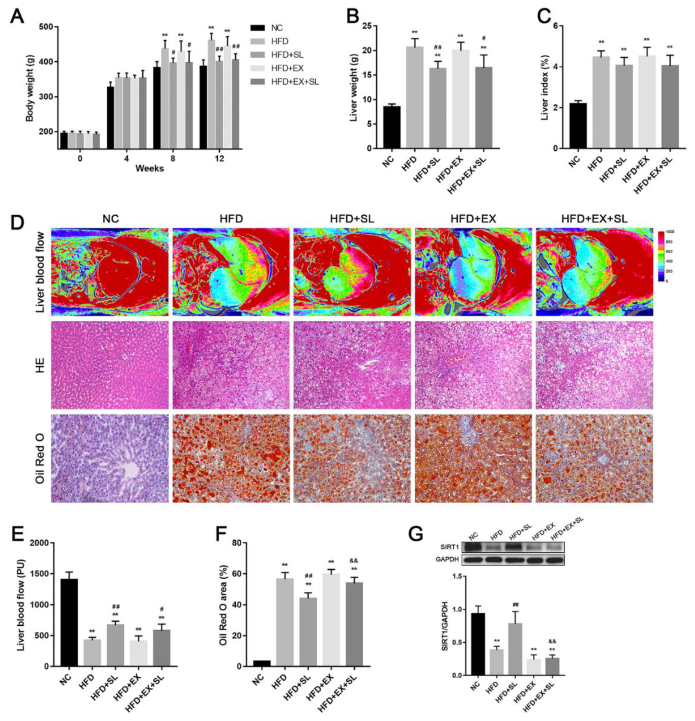 Molecules 24 03943 g001