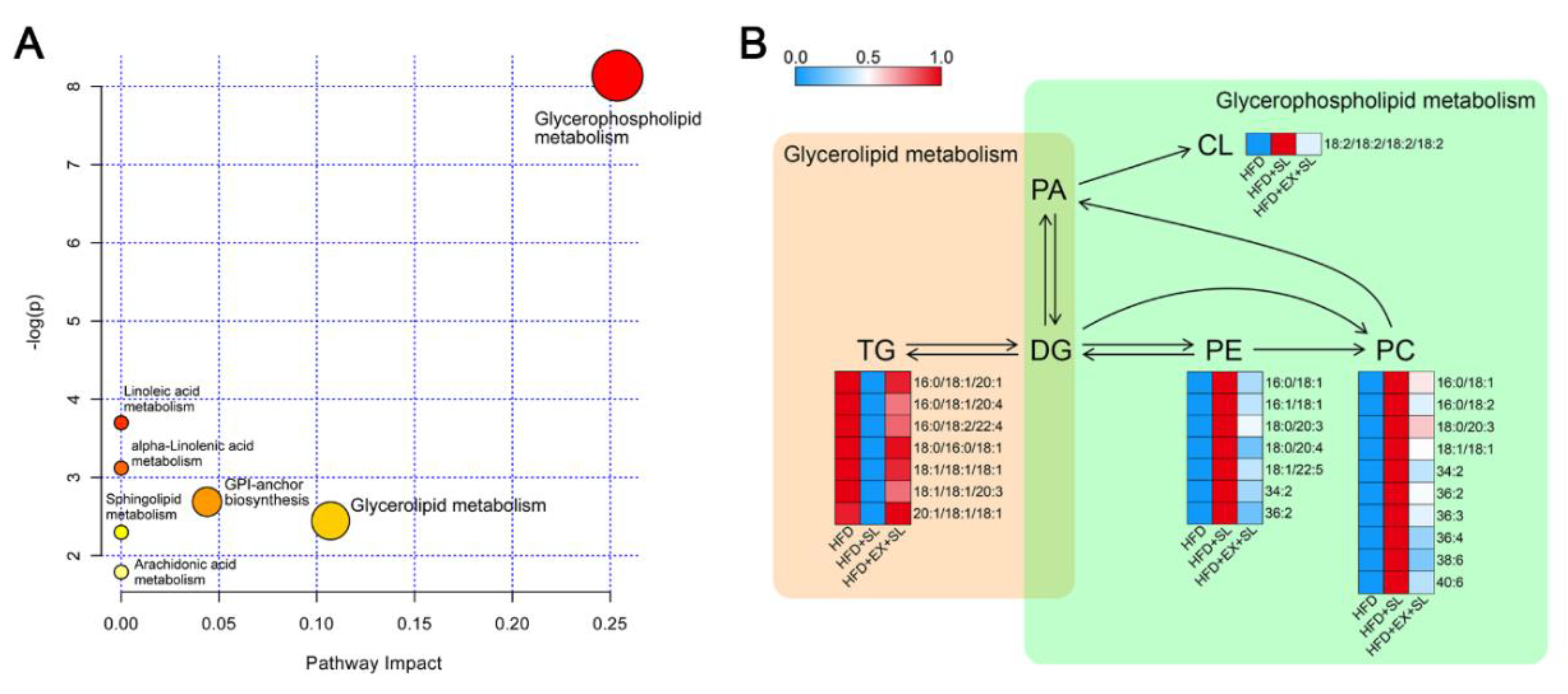 Molecules 24 03943 g007