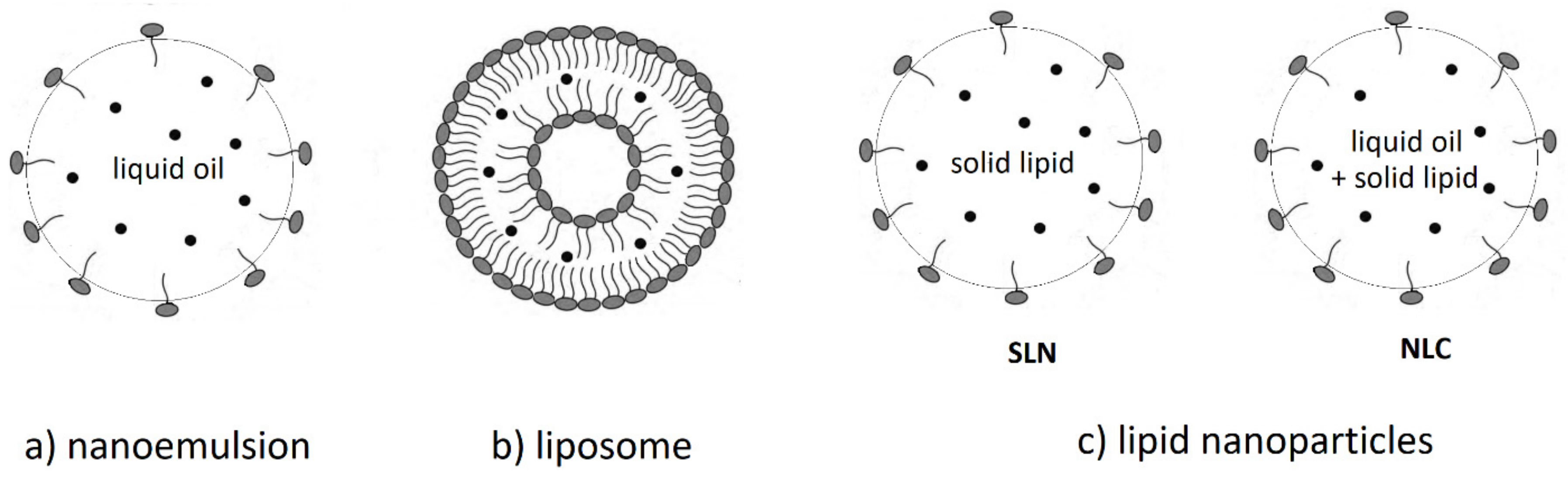 Molecules 24 03947 g008