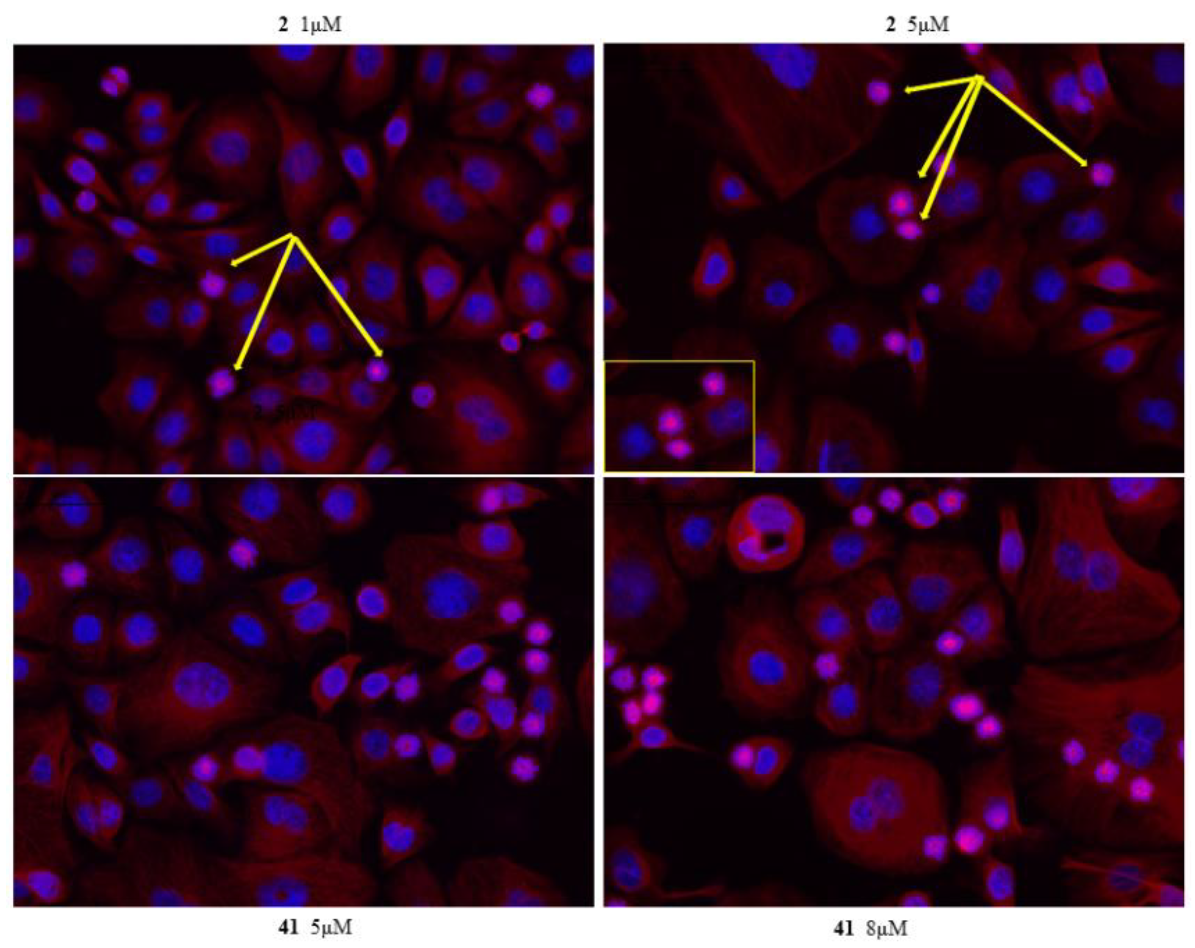 Molecules 24 03948 g005 Molecules 24 03948 g005