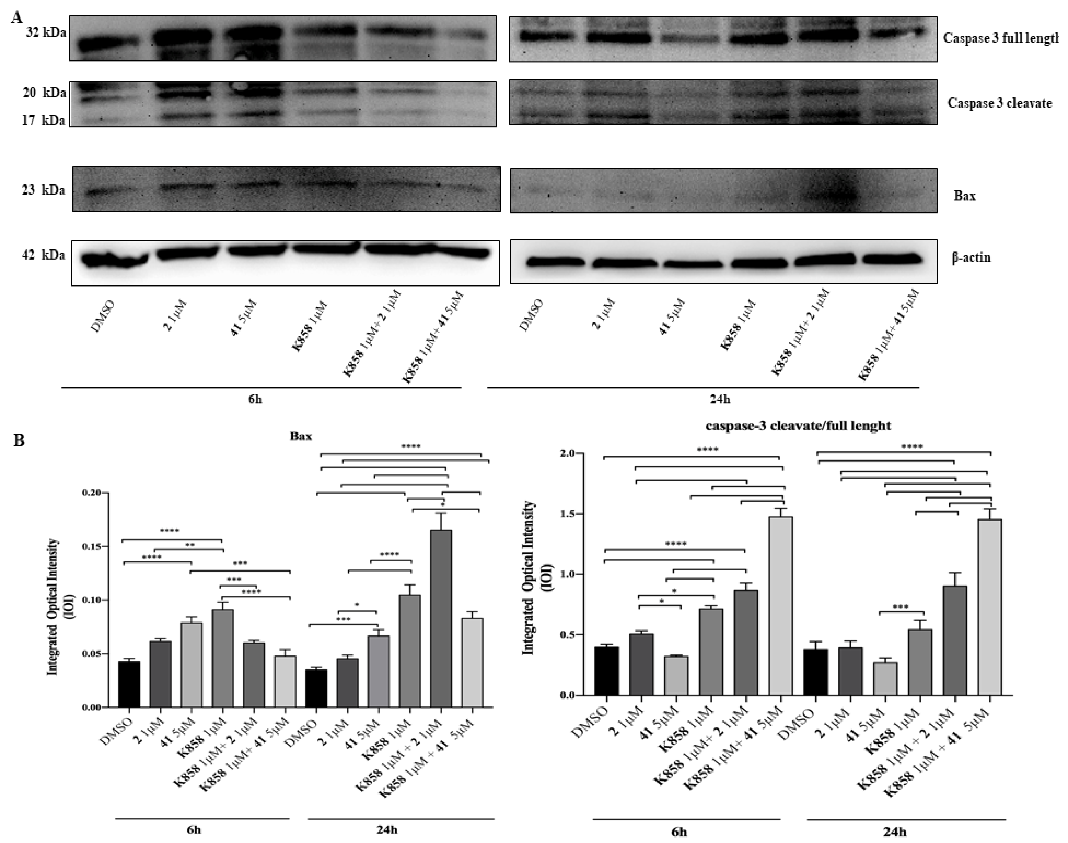 Molecules 24 03948 g006 Molecules 24 03948 g006