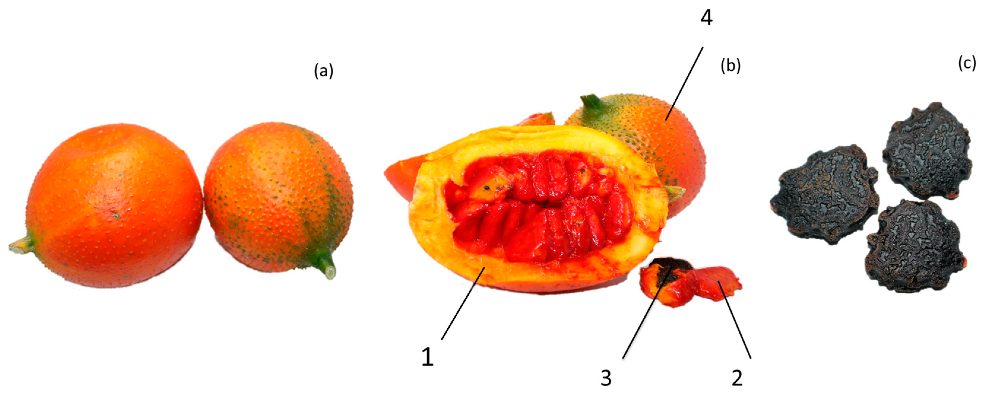 Molecules 24 03949 g001