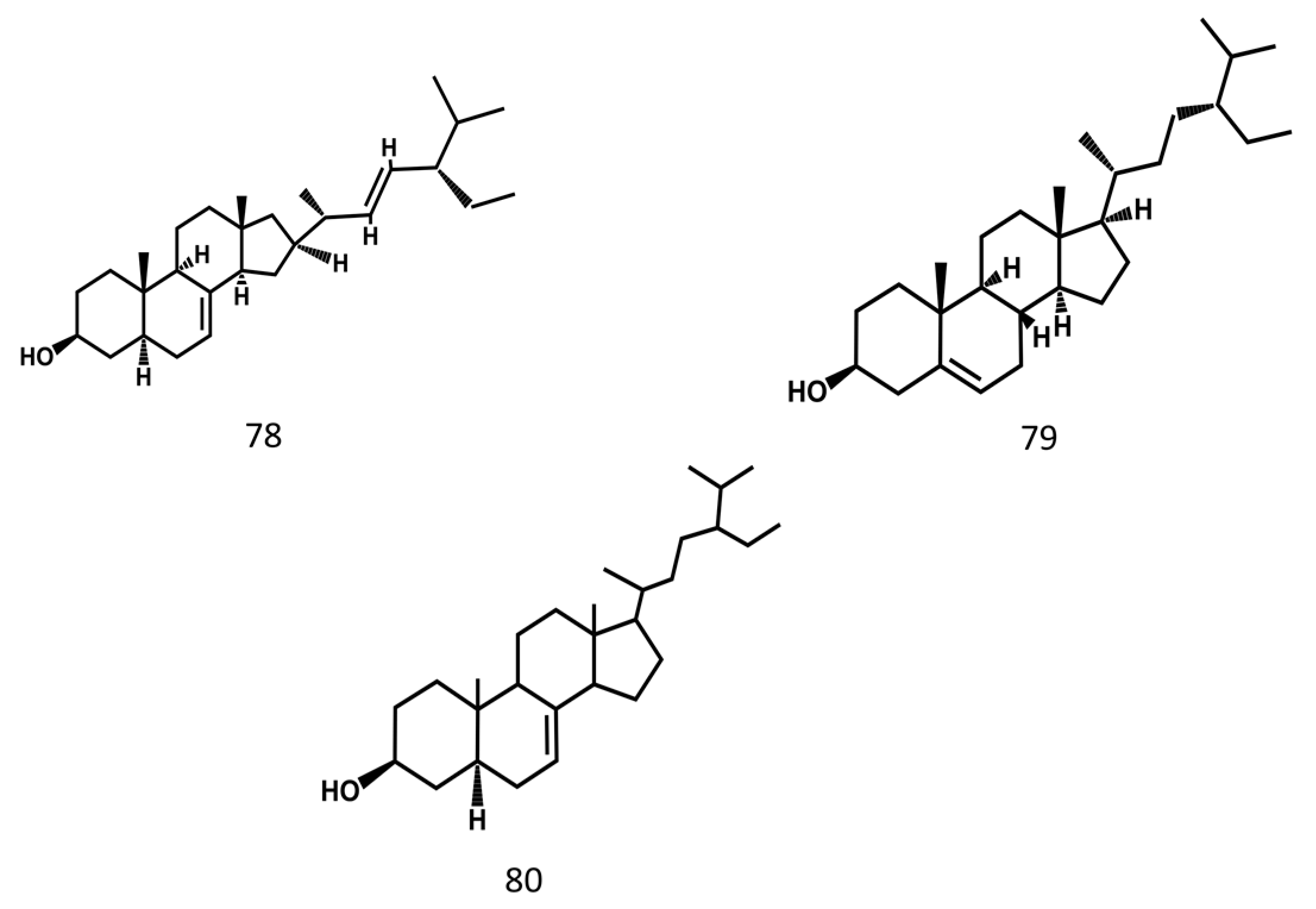 Molecules 24 03949 g007