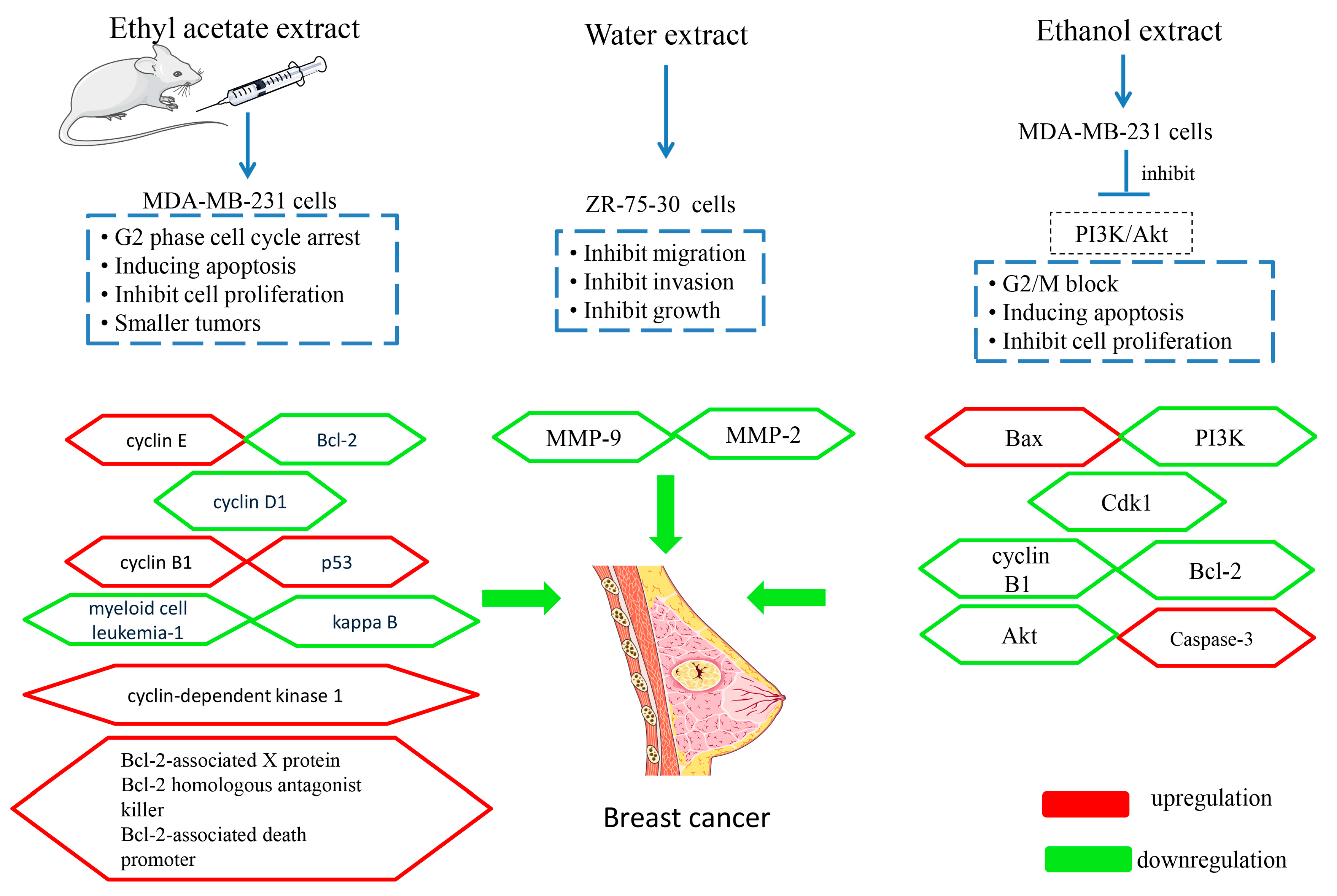 Molecules 24 03949 g009