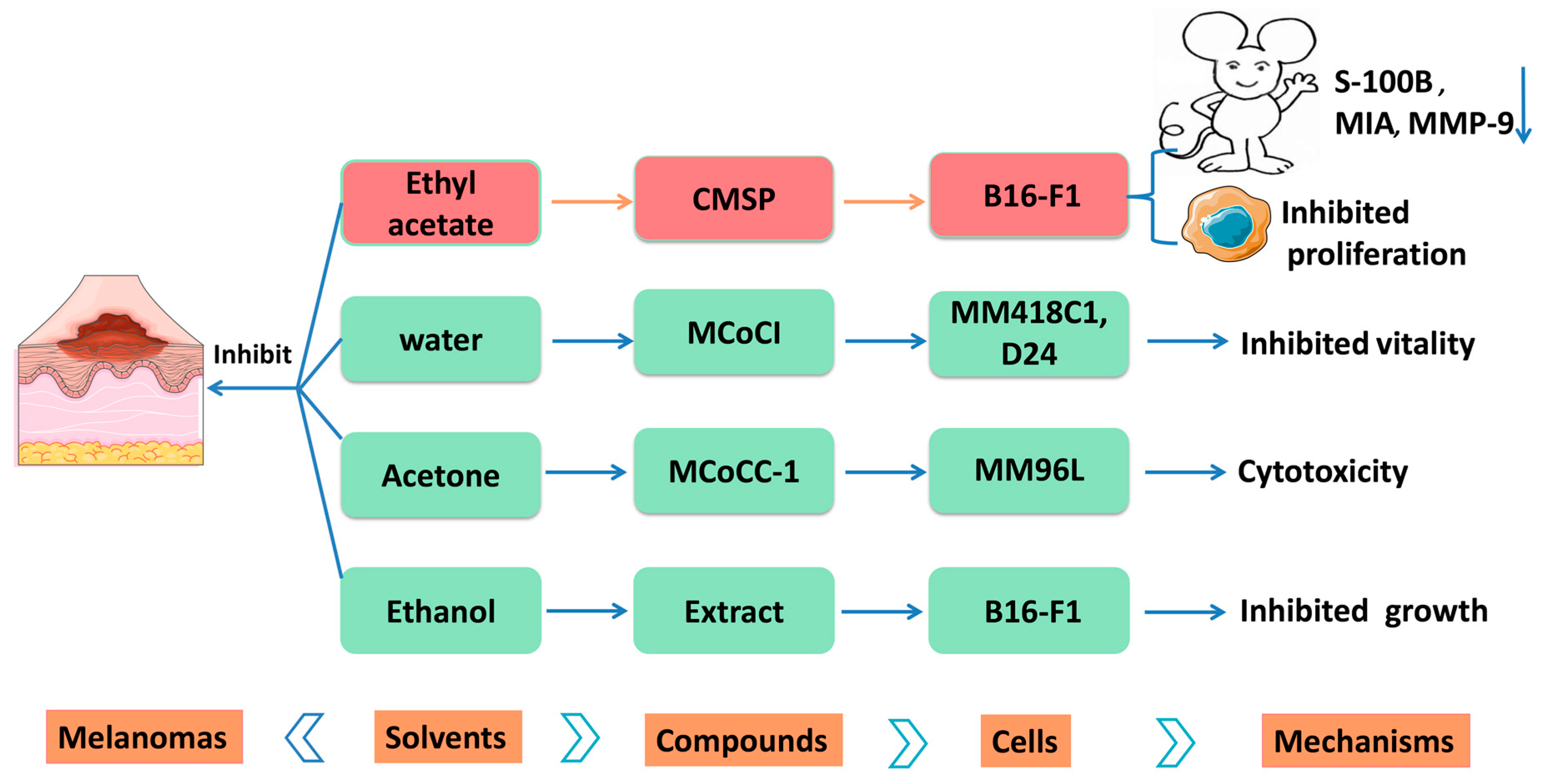 Molecules 24 03949 g010