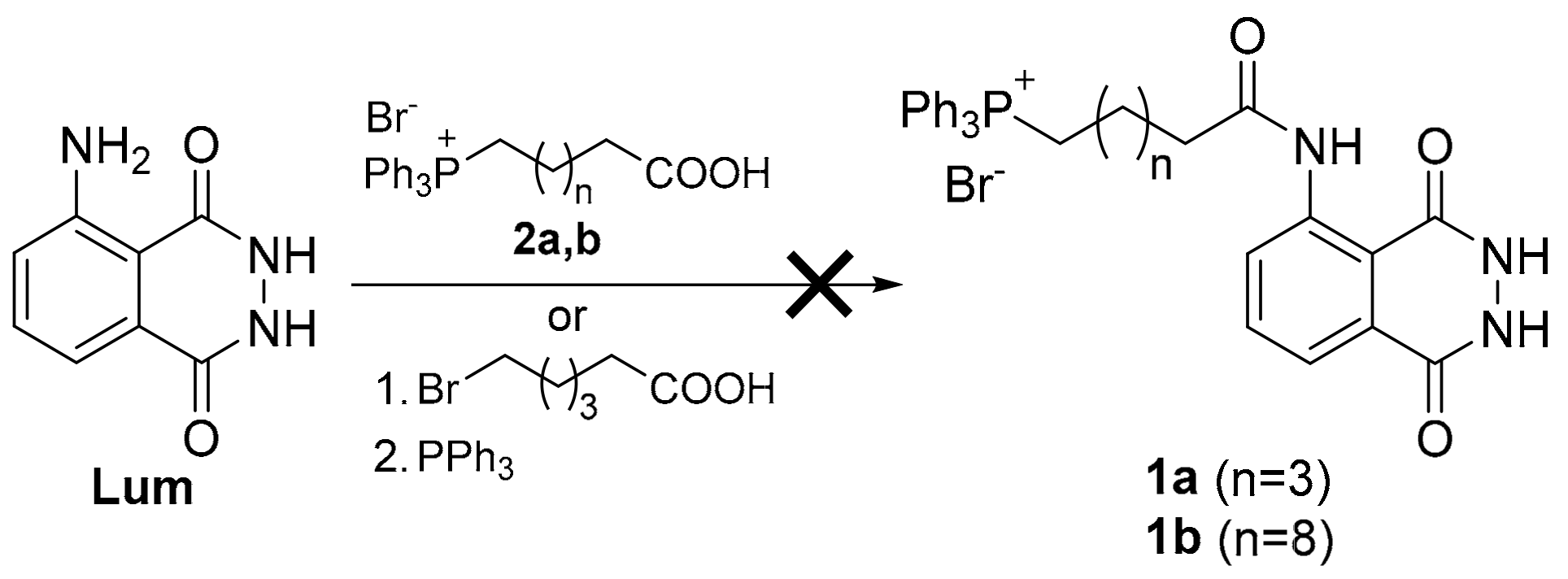 Molecules 24 03957 sch001 Molecules 24 03957 sch001