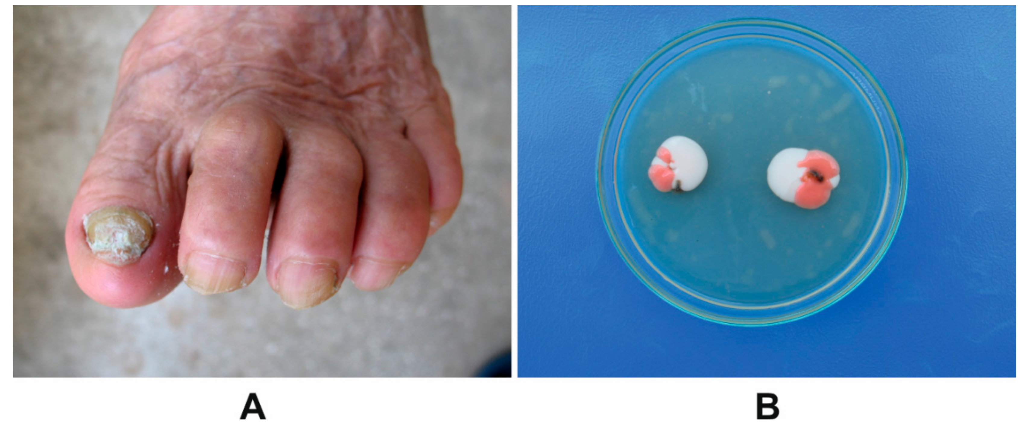 Molecules 24 03958 g001