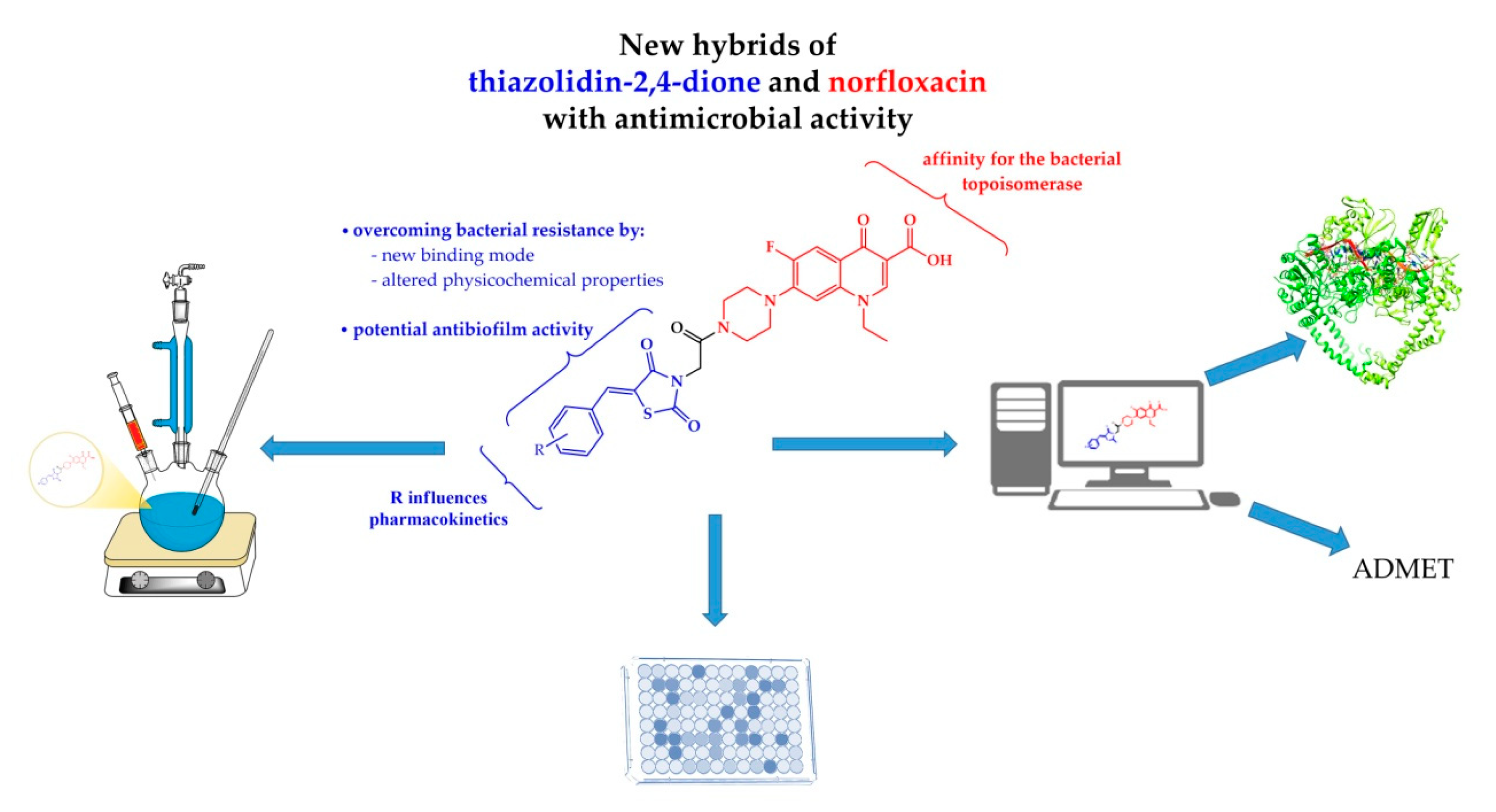 Molecules 24 03959 g001