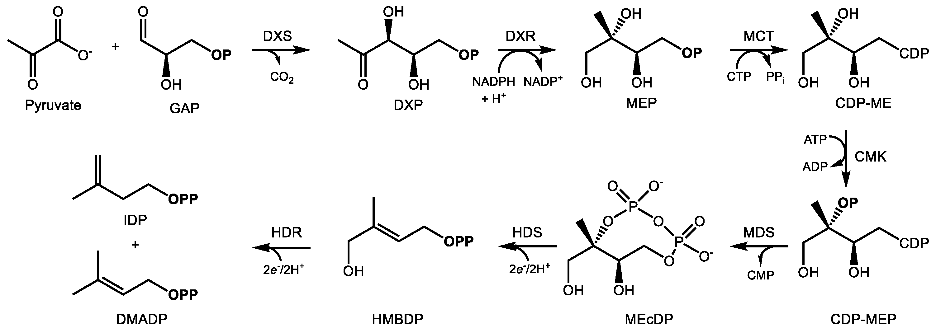 Molecules 24 03961 g002