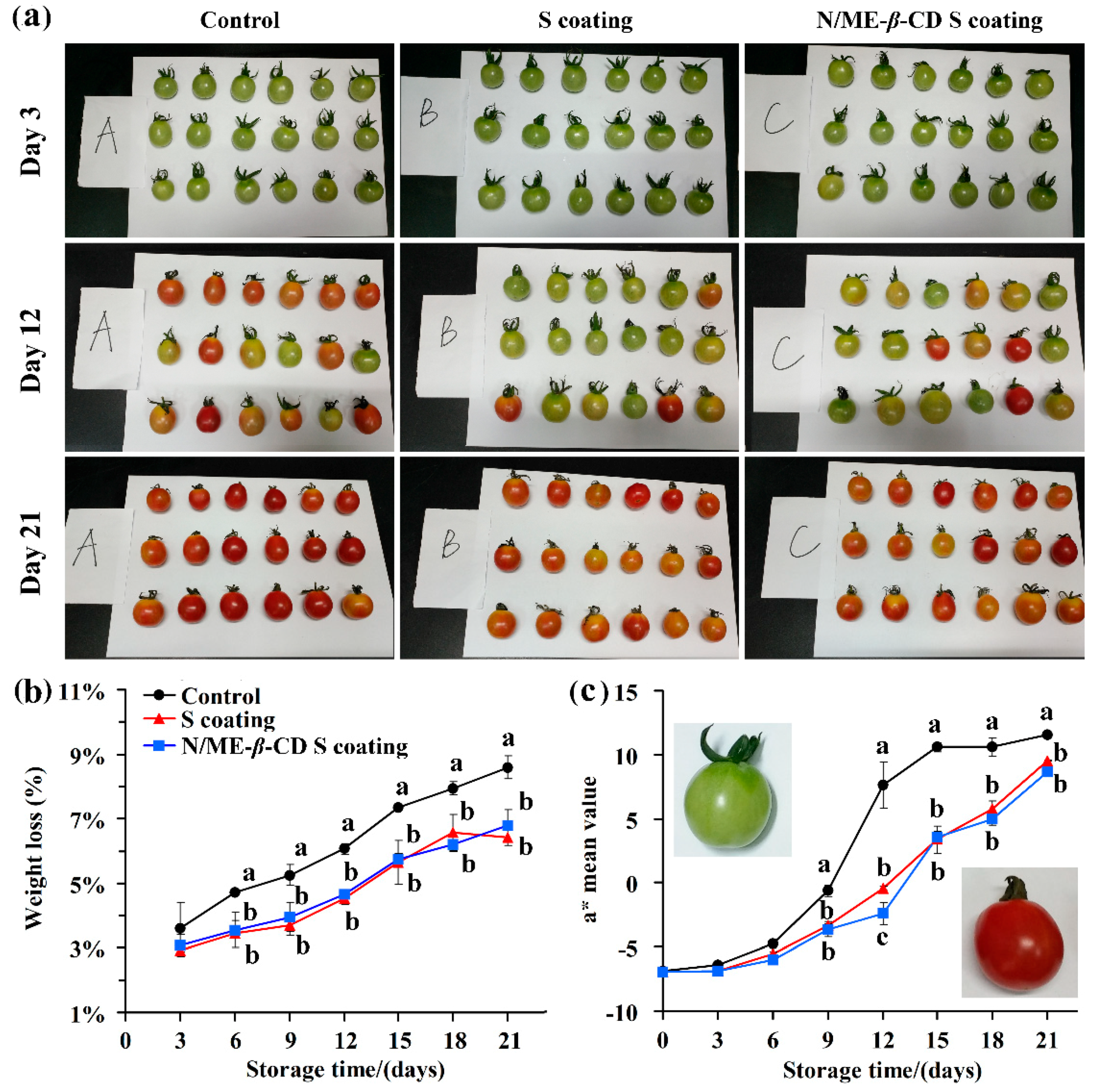 Molecules 24 03962 g005