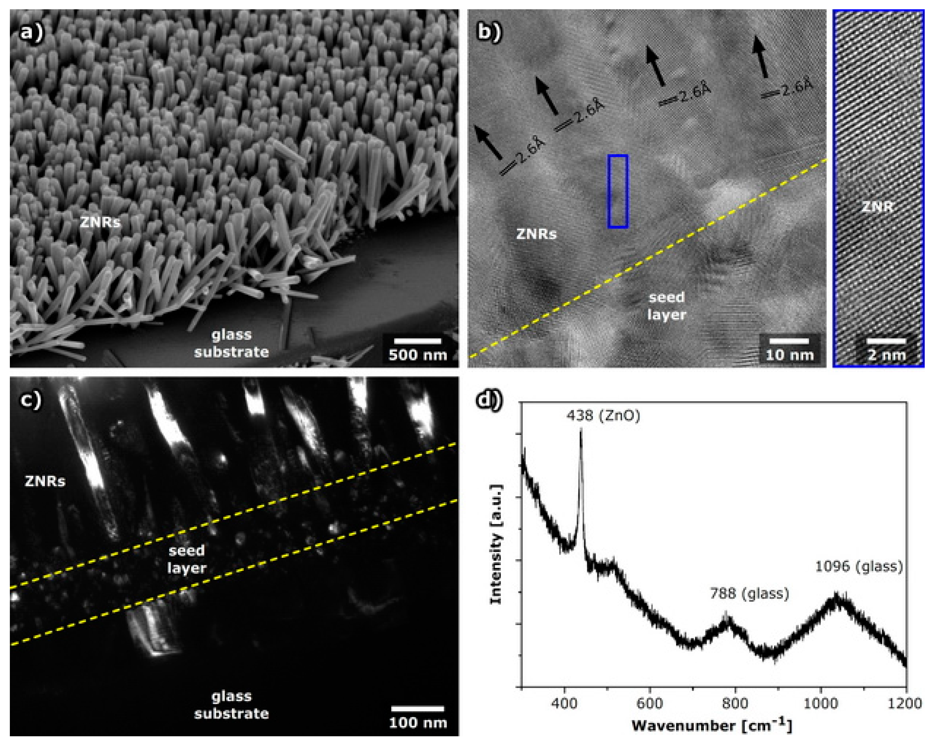 Molecules 24 03965 g001