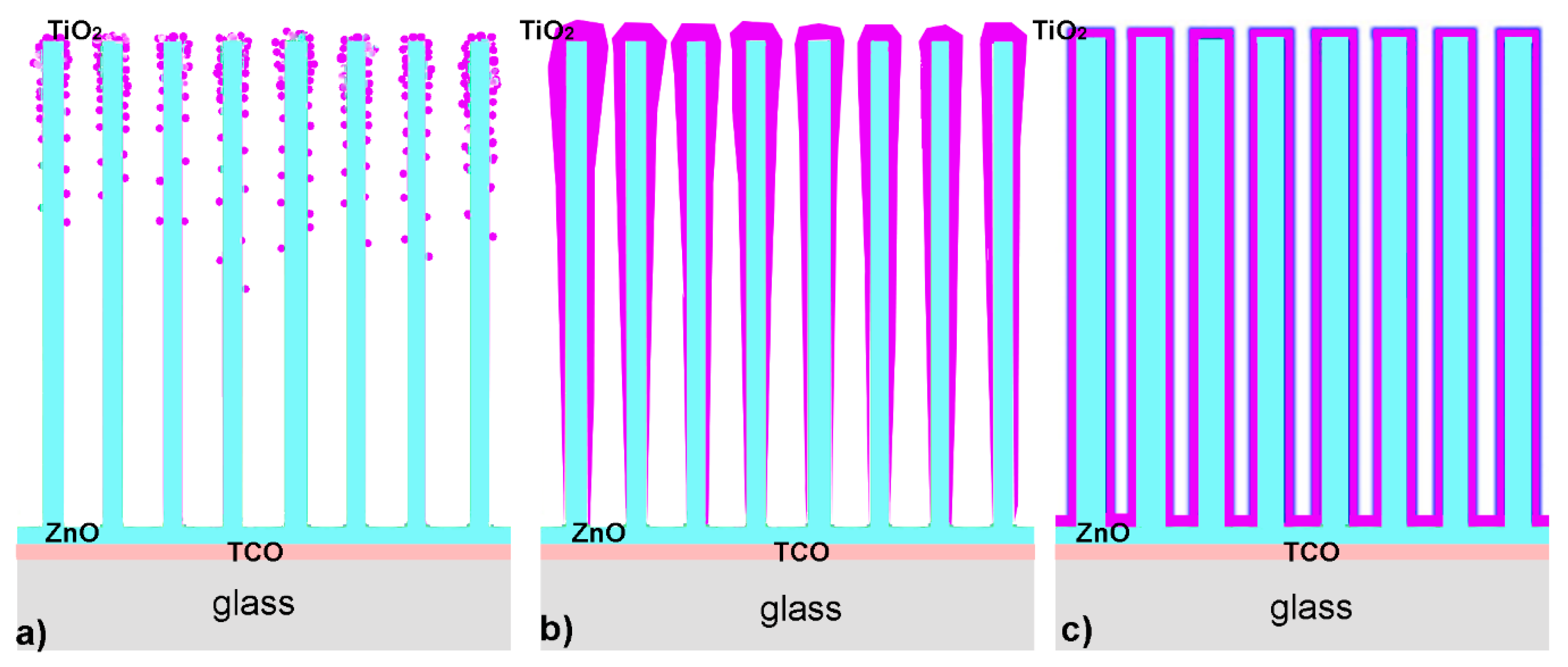 Molecules 24 03965 g007