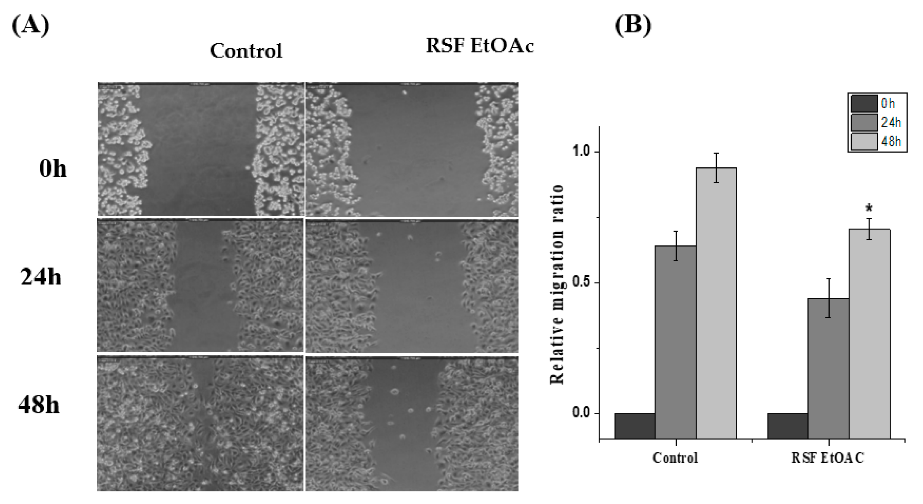 Molecules 24 03968 g005 Molecules 24 03968 g005