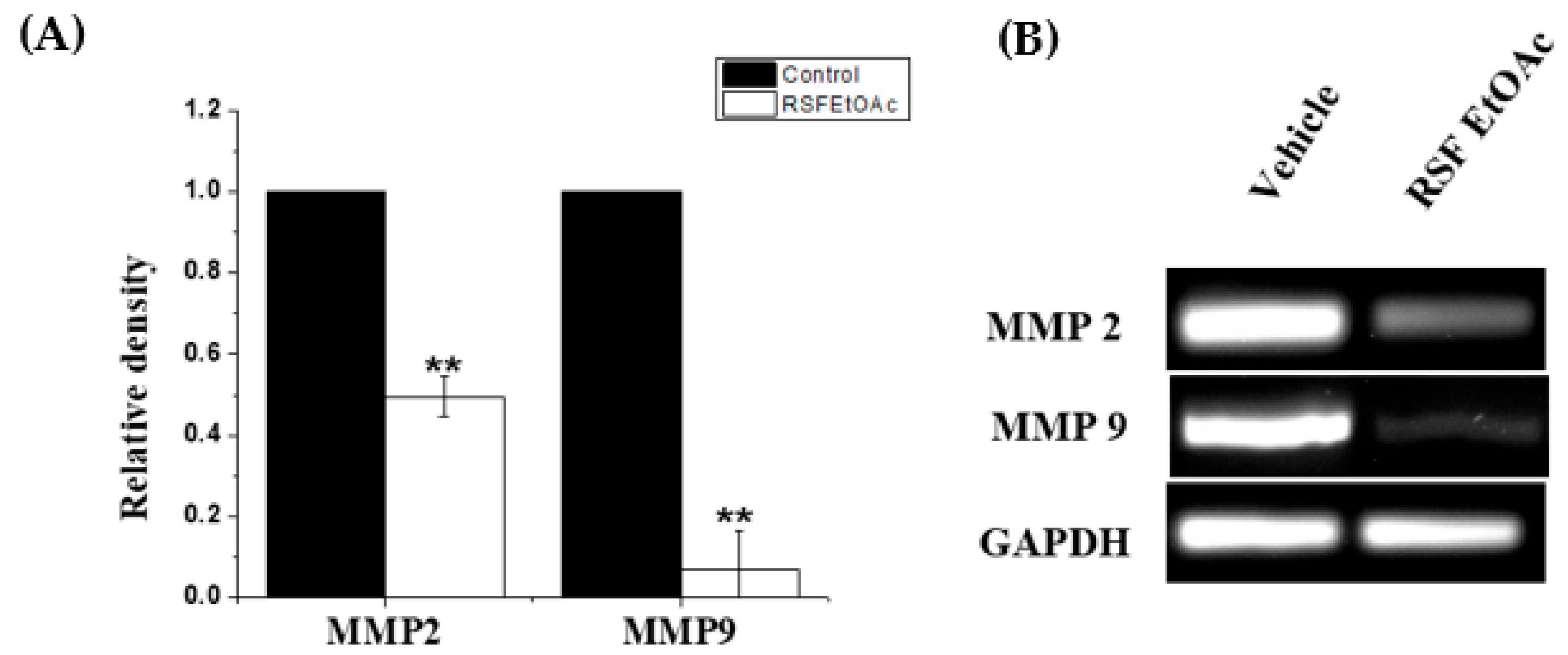 Molecules 24 03968 g006 Molecules 24 03968 g006
