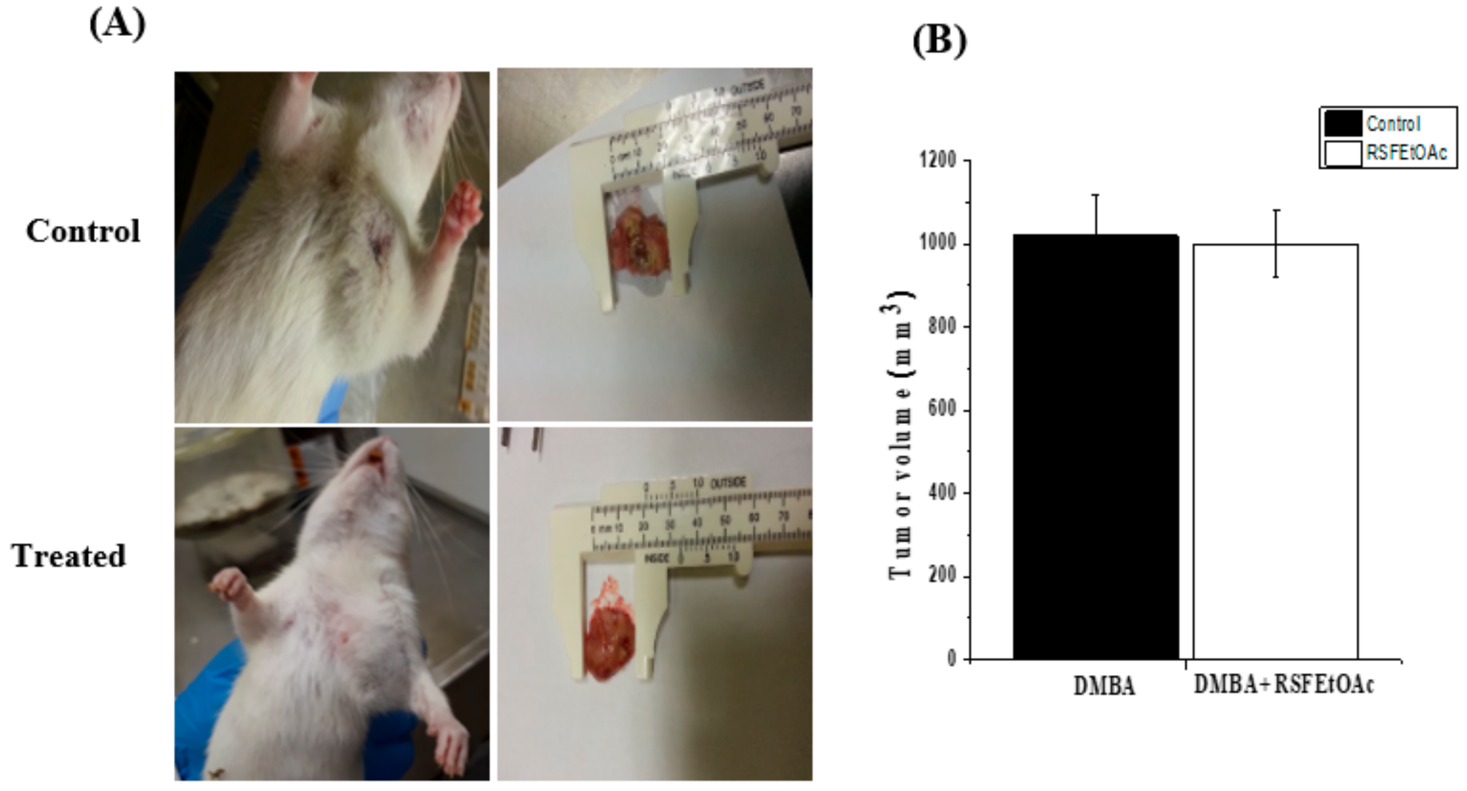 Molecules 24 03968 g007 Molecules 24 03968 g007