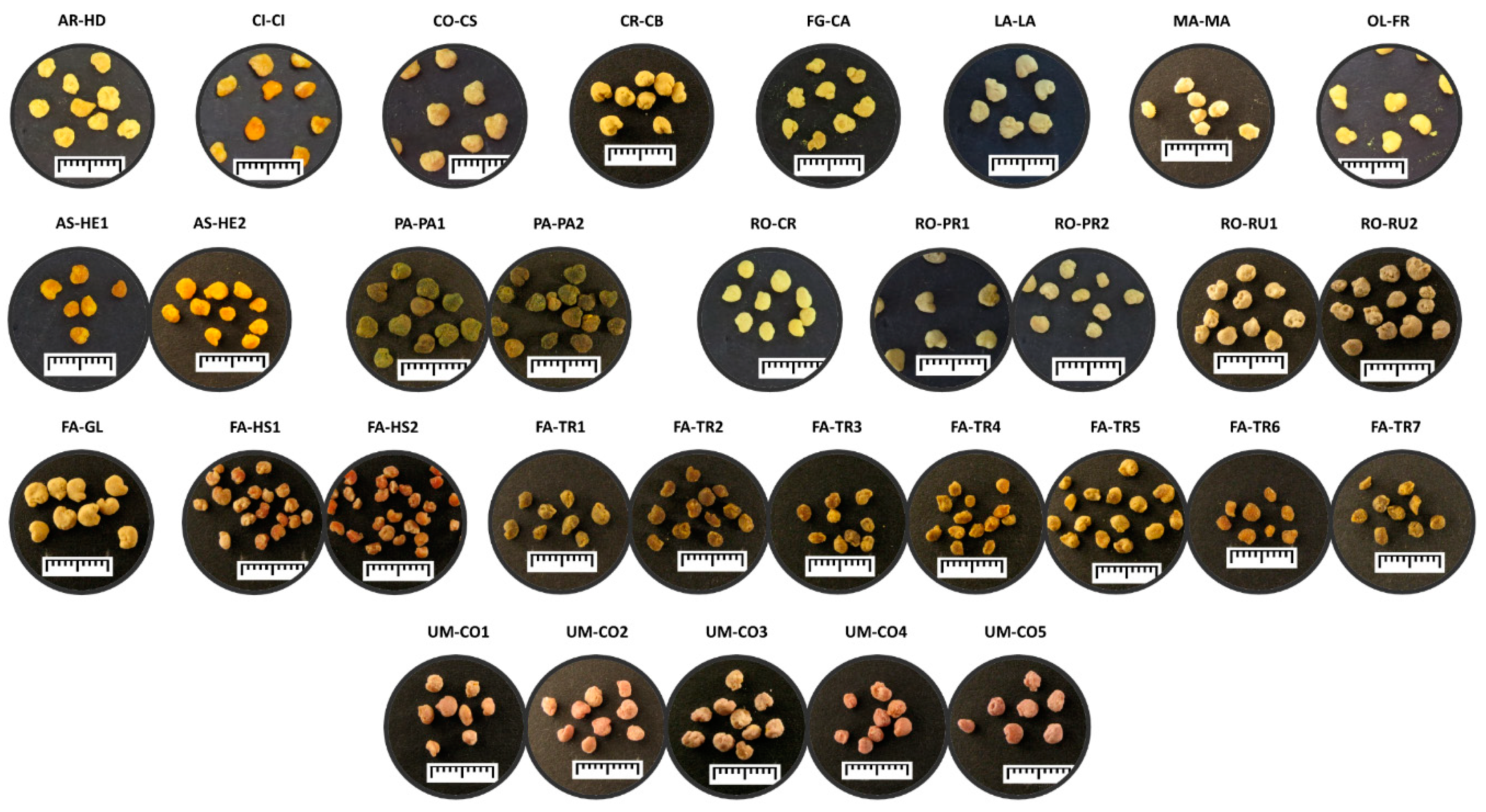 Molecules 24 03974 g001