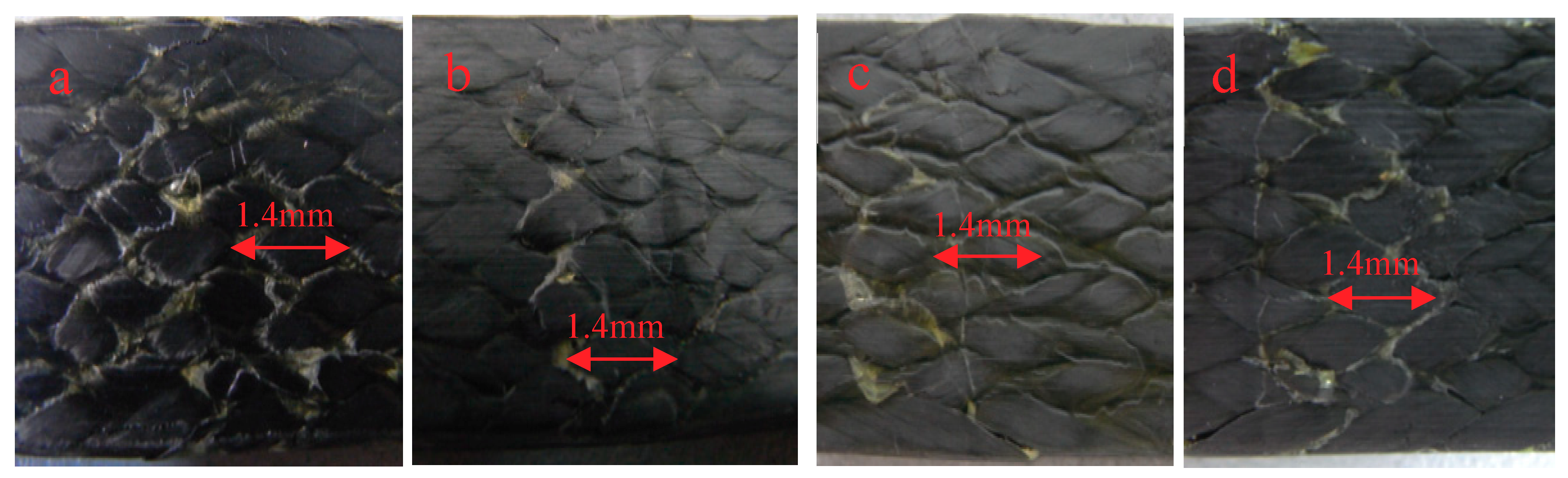 Molecules 24 03977 g006