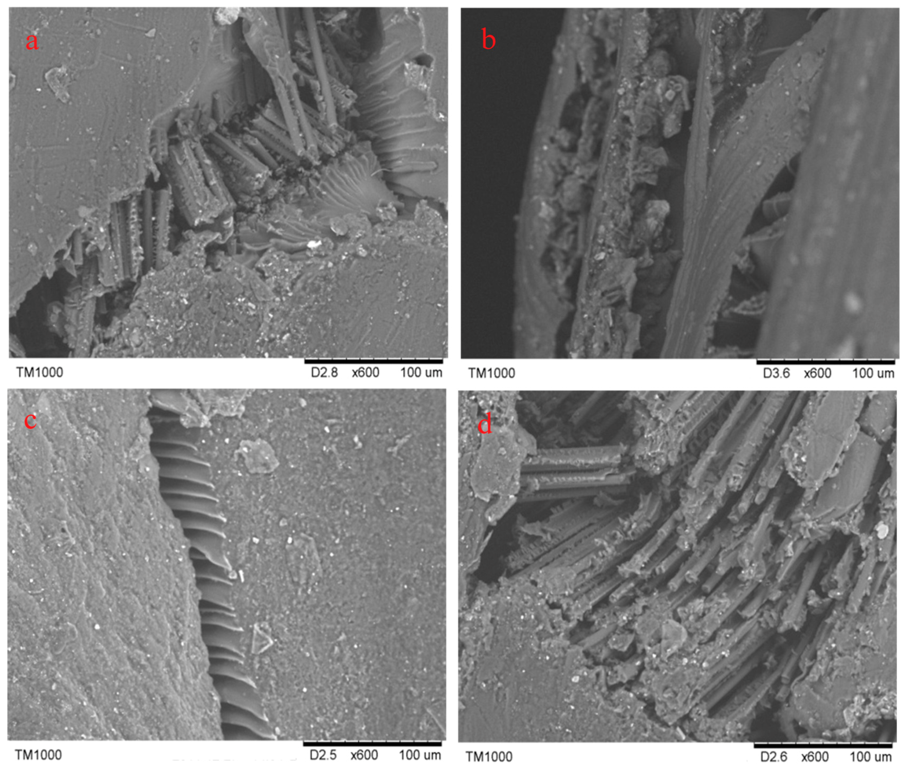 Molecules 24 03977 g008