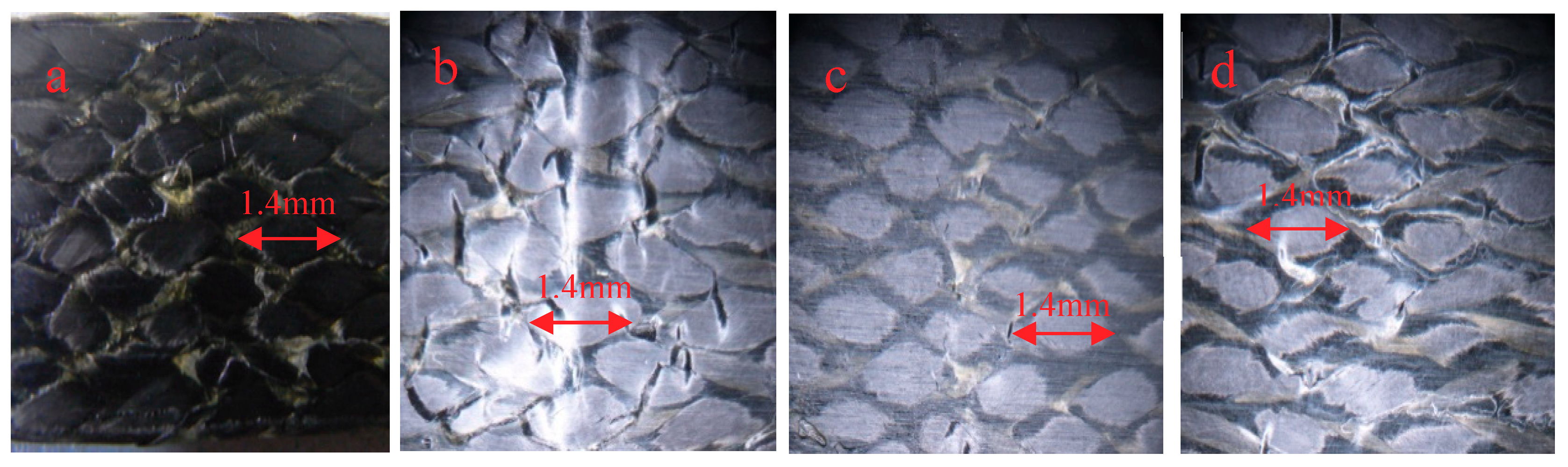 Molecules 24 03977 g009
