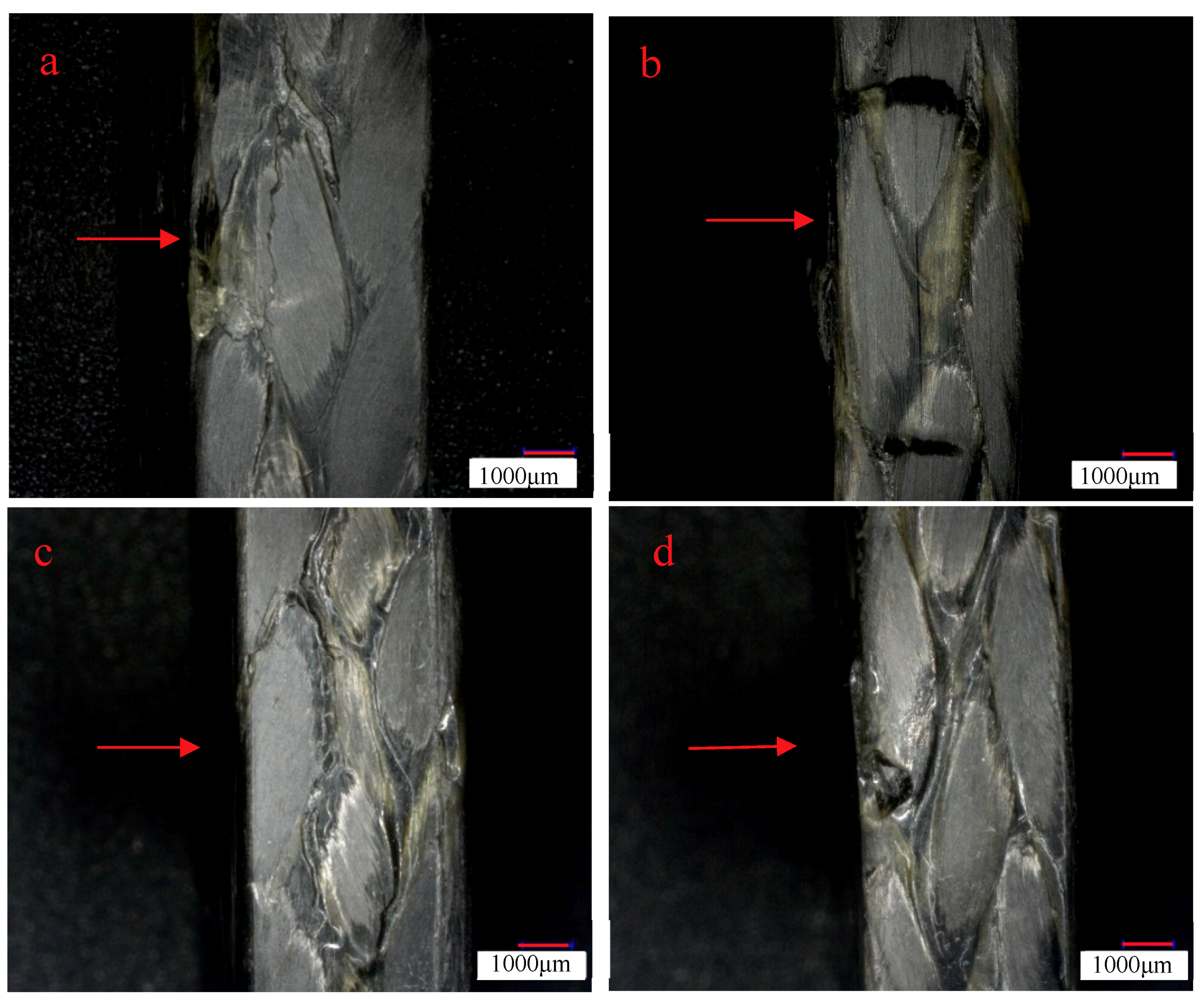 Molecules 24 03977 g010