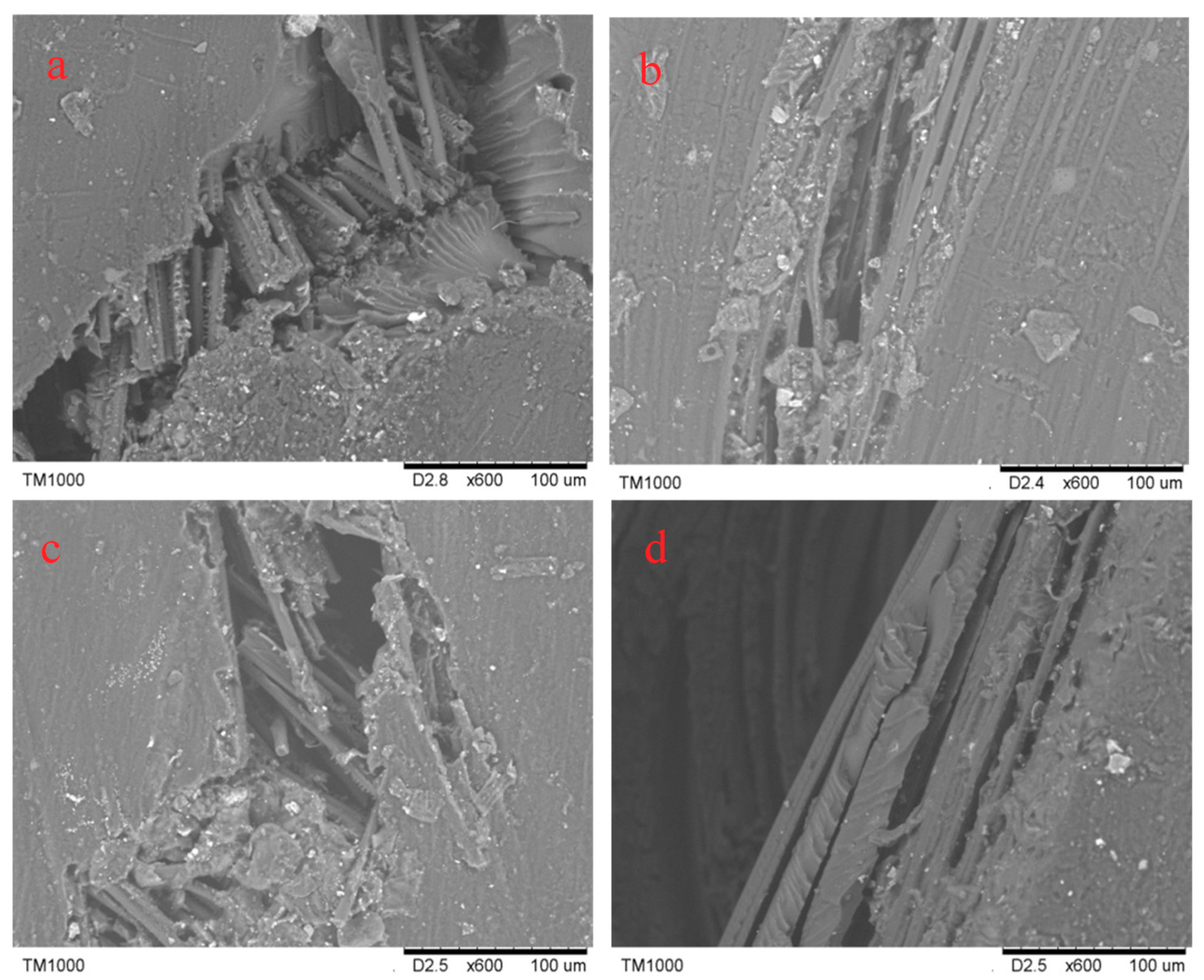 Molecules 24 03977 g011